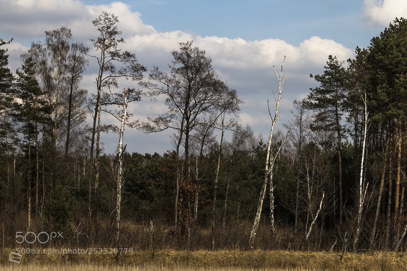 Canon EOS 760D (EOS Rebel T6s / EOS 8000D) sample photo. Behind seven forests ... photography