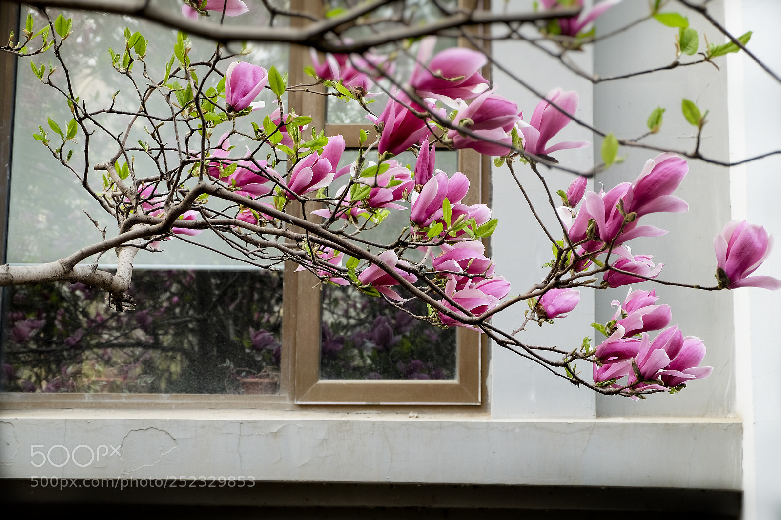 Fujifilm X-T10 sample photo. Untitled photography
