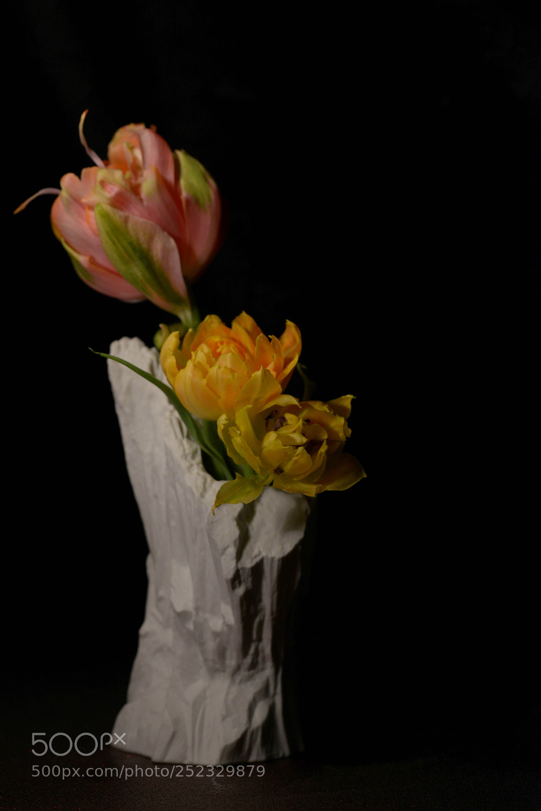 Nikon D800 sample photo. Tulips photography