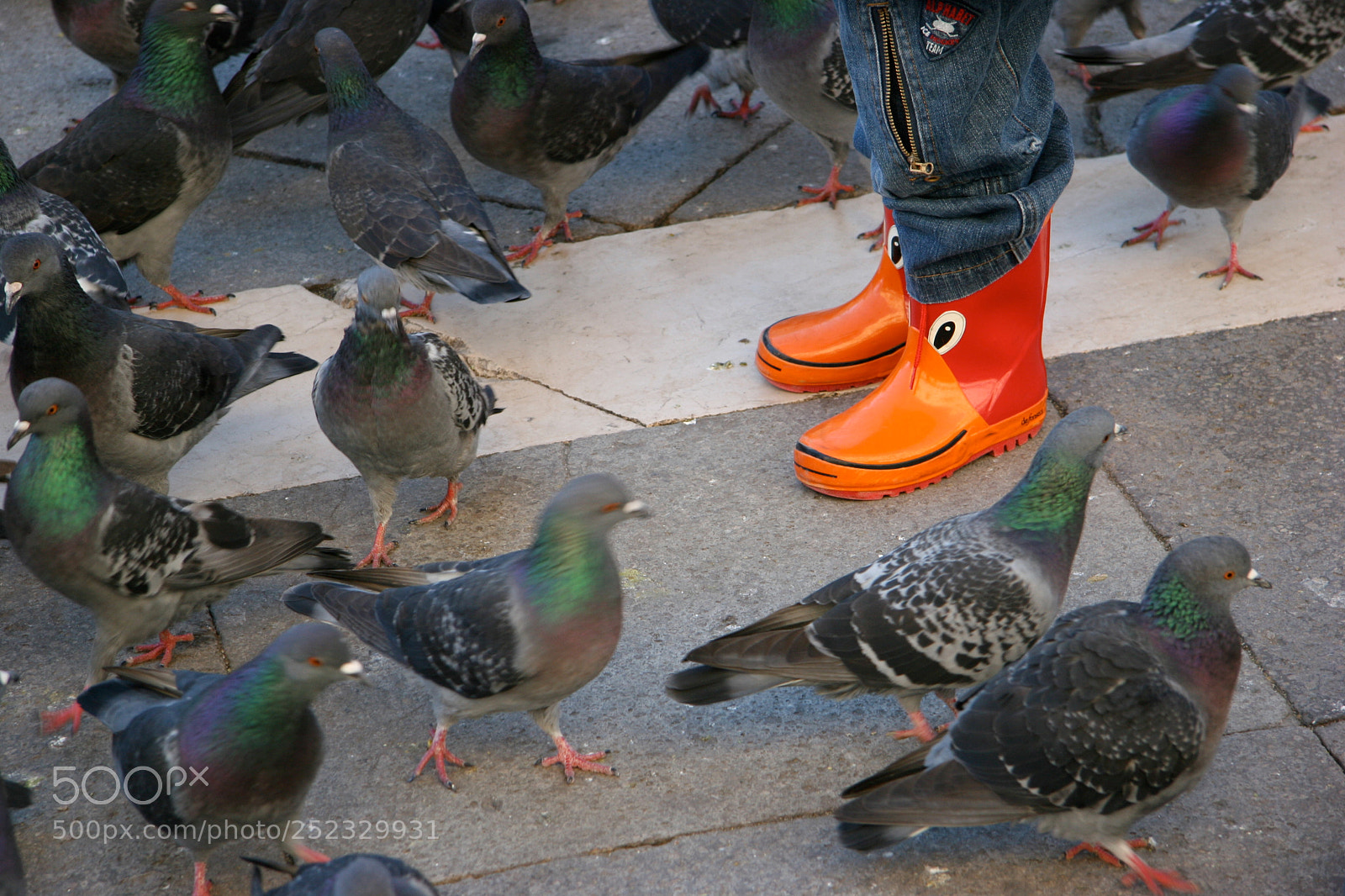 Canon EOS 20D sample photo. Birds of a feather photography
