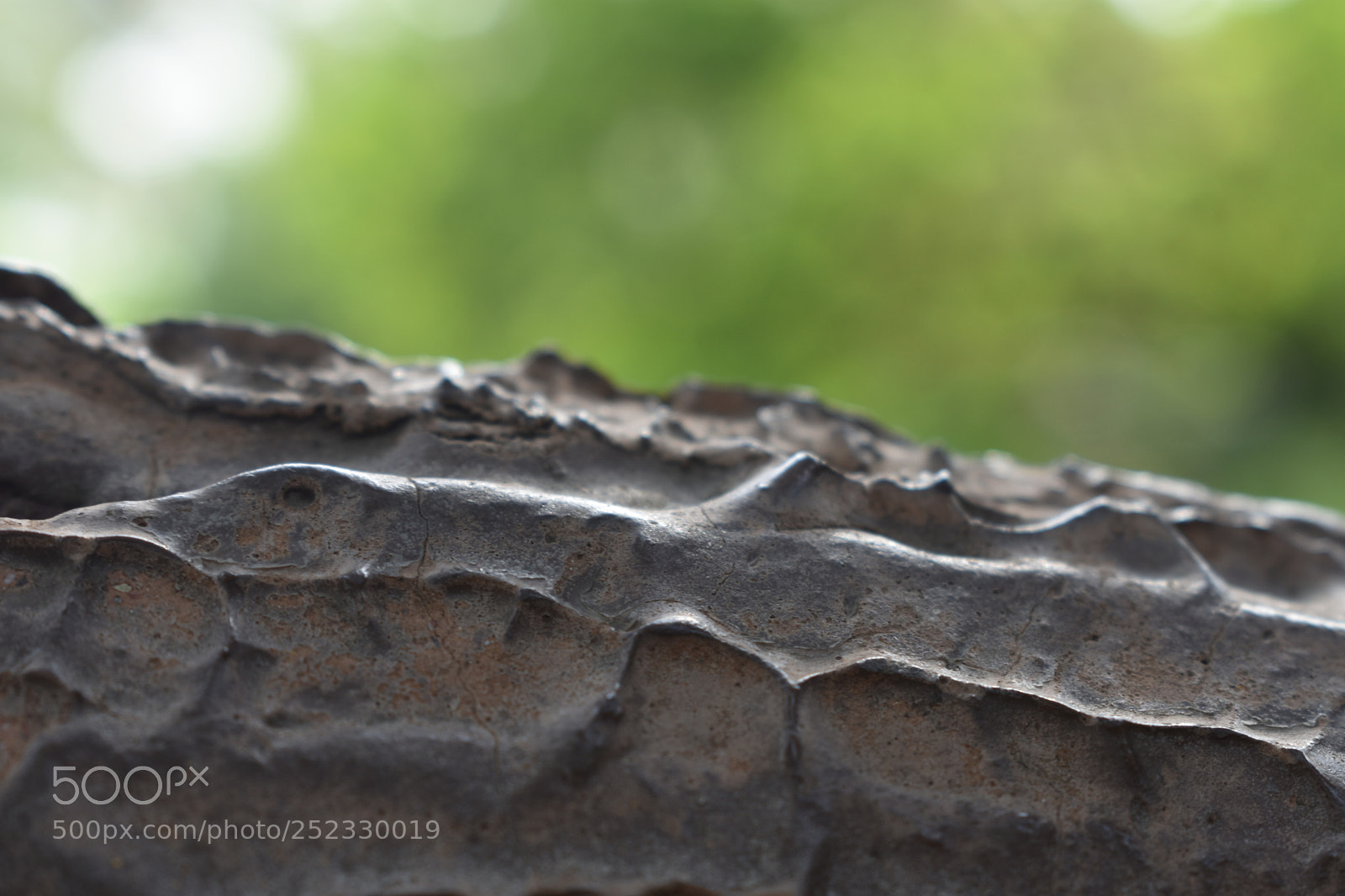 Nikon D3400 sample photo. Wood photography