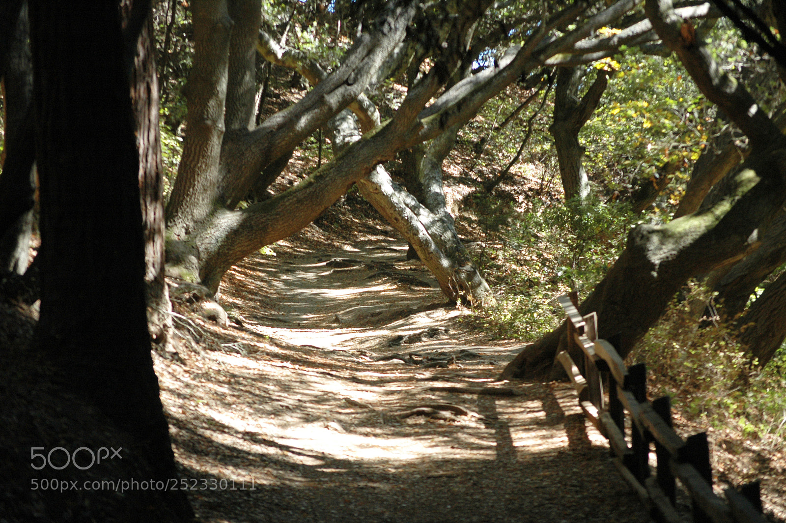 Nikon D70 sample photo. Happy trails photography
