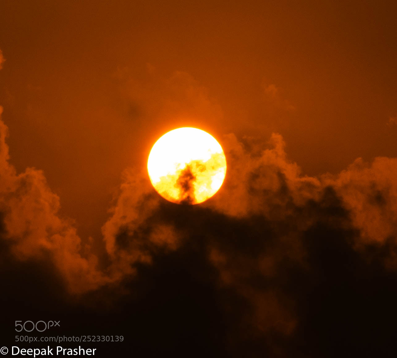 Nikon D850 sample photo. Sun photography