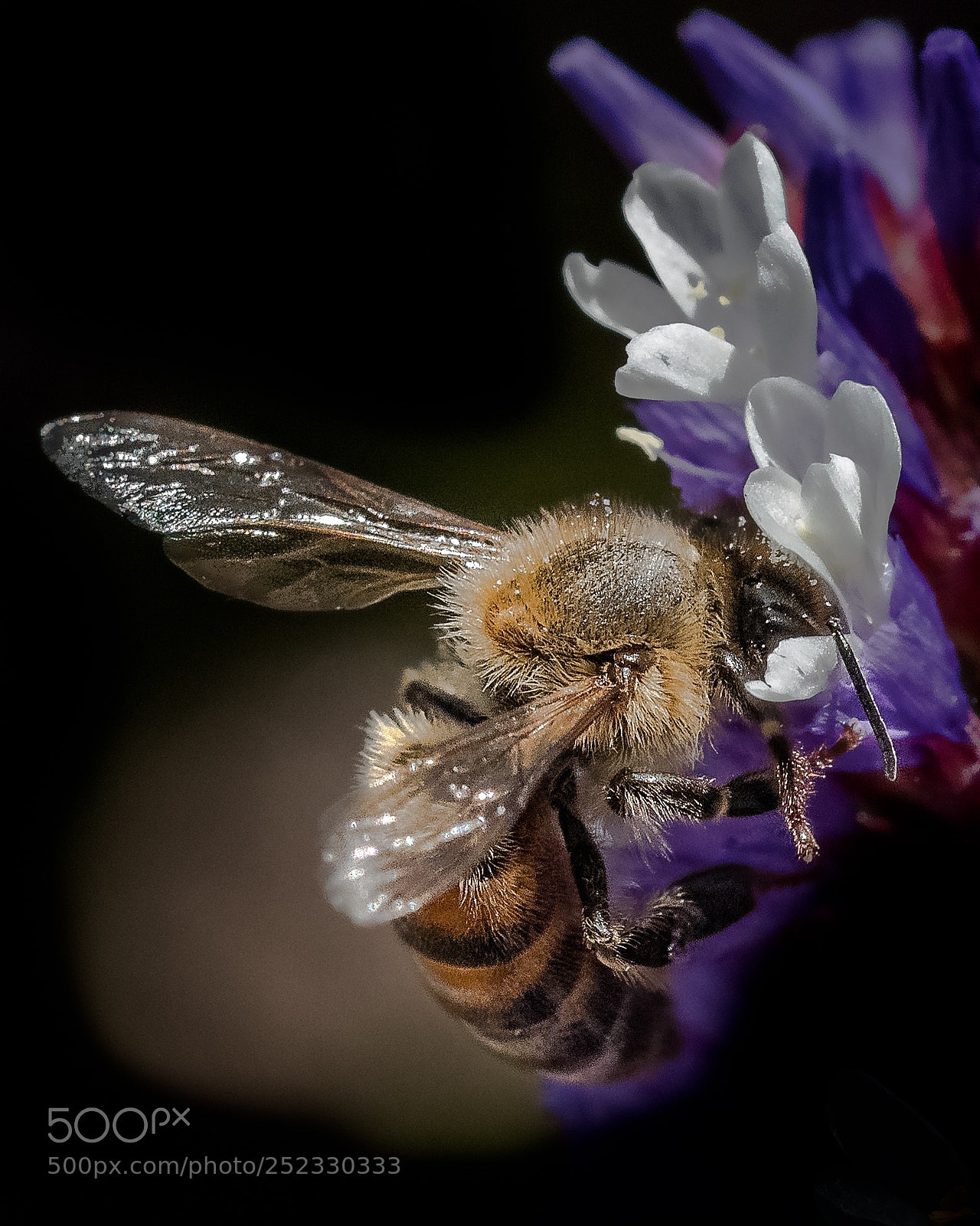 Nikon D850 sample photo. That's using your head photography