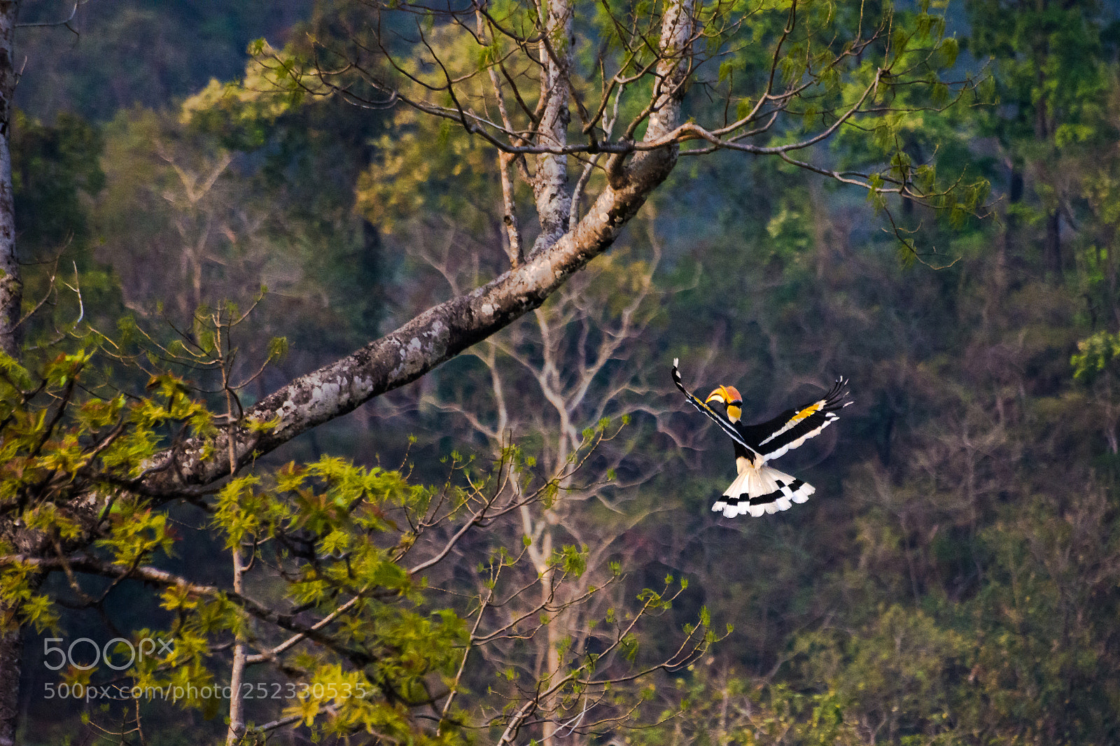 Nikon D7200 sample photo. Nesting time photography
