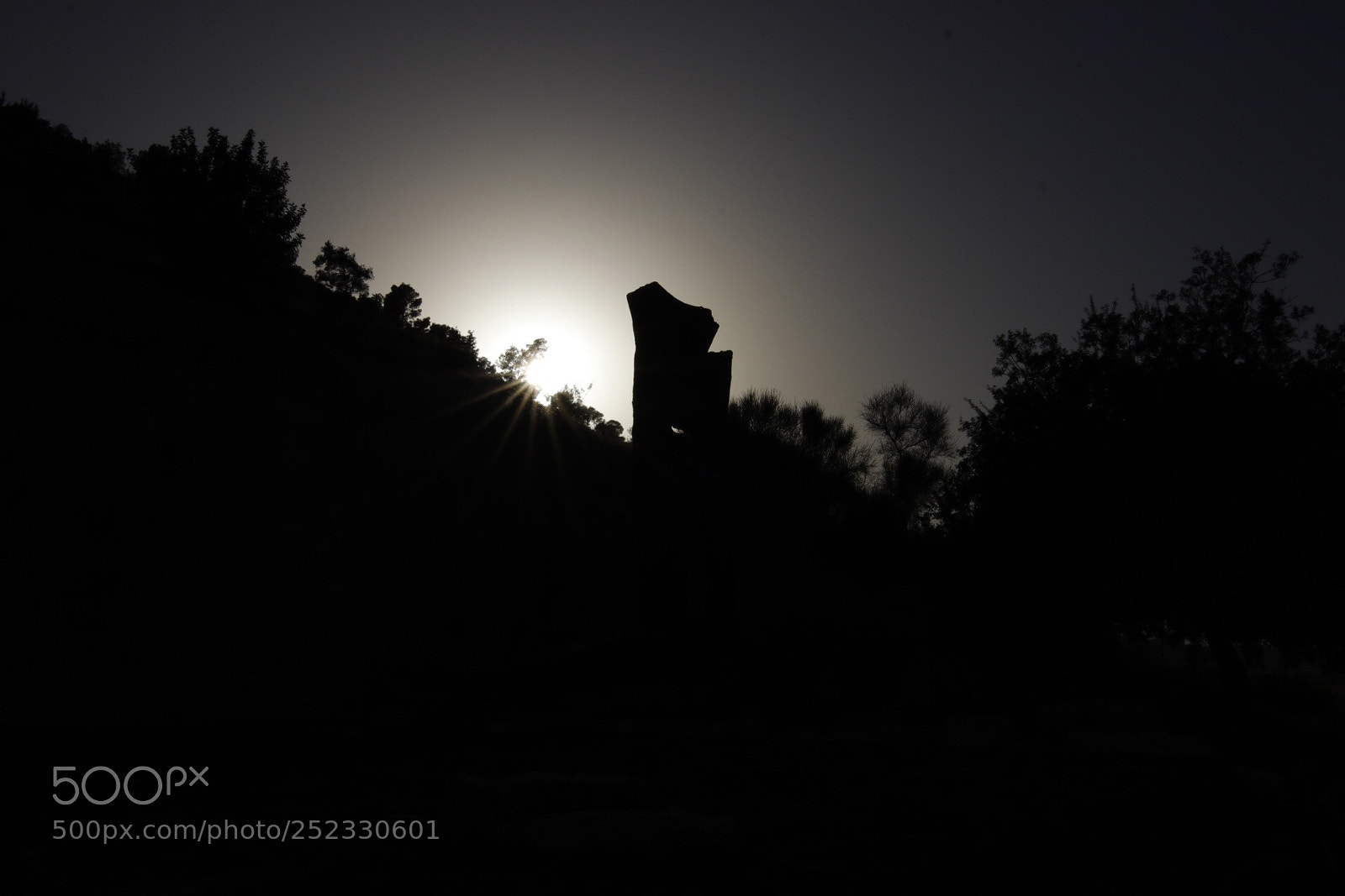 Canon EOS 80D sample photo. Untitled photography