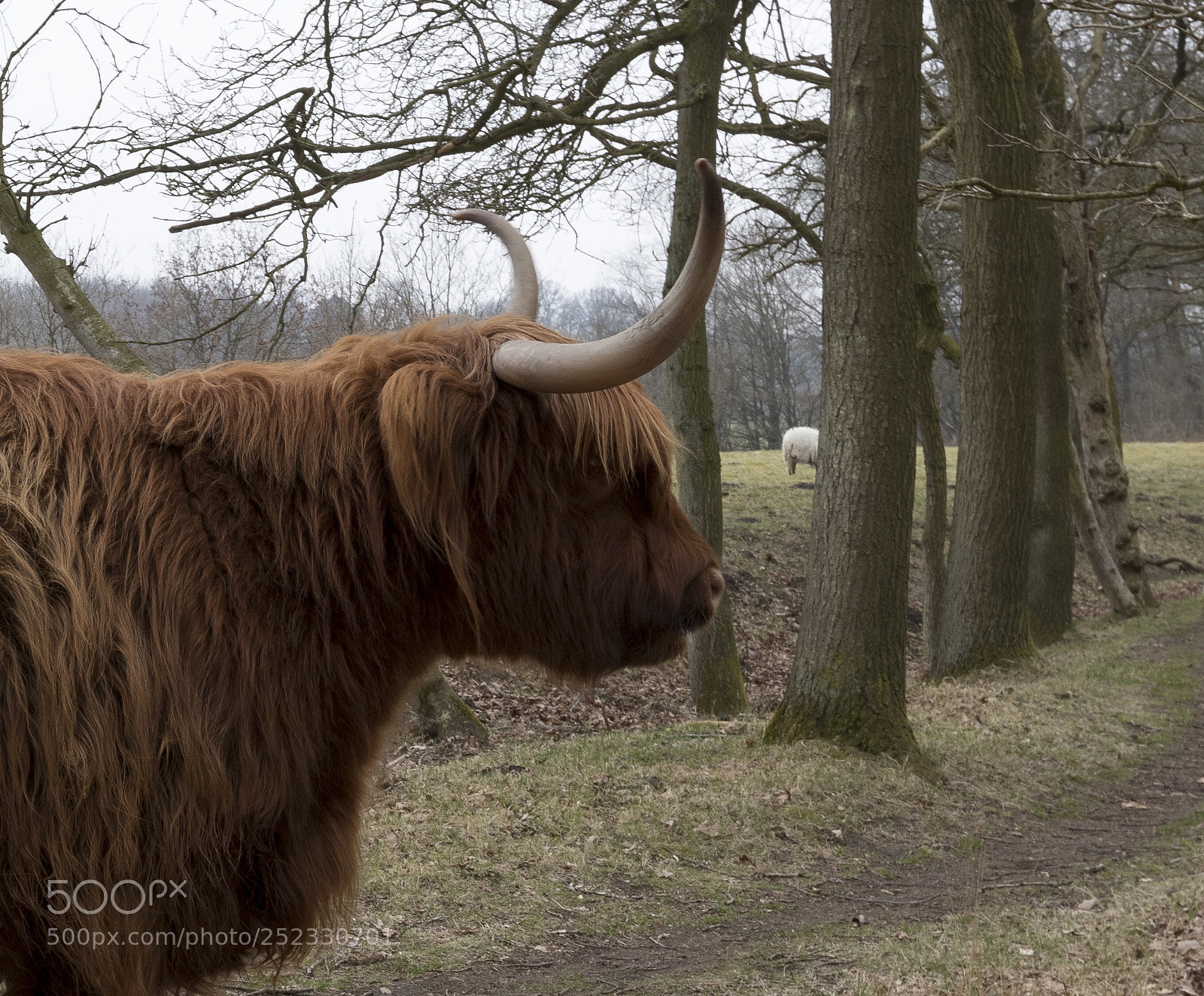 Canon EOS 80D sample photo. Voorjaar02 photography
