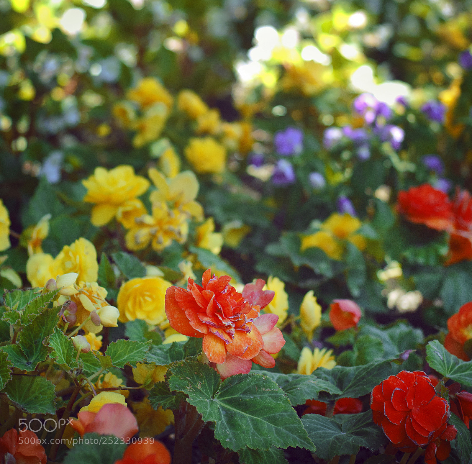 Nikon D80 sample photo. Springtime vibes photography