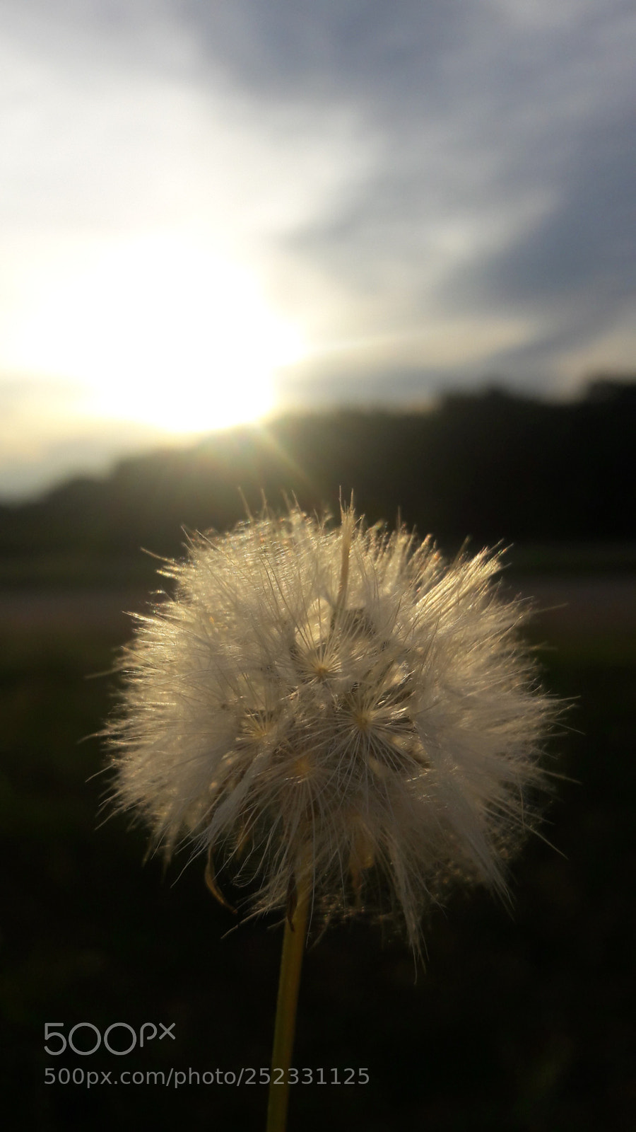 Samsung Galaxy J7 sample photo. Untitled photography