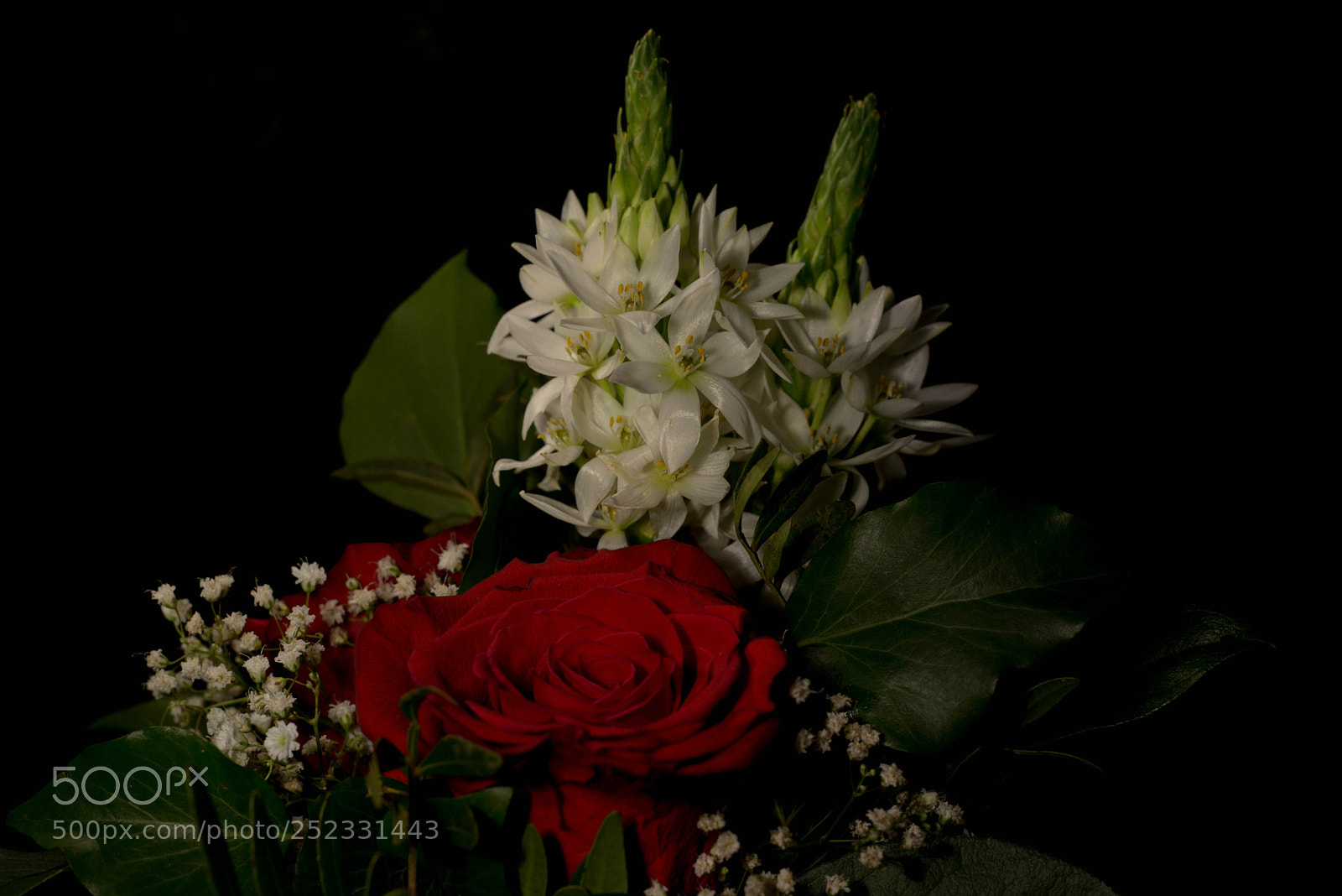 Nikon D800 sample photo. Bouquet photography