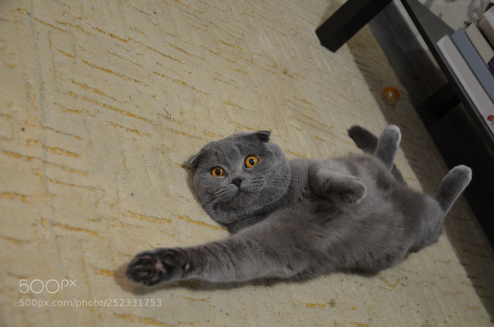 Nikon D5100 sample photo. Hello) photography