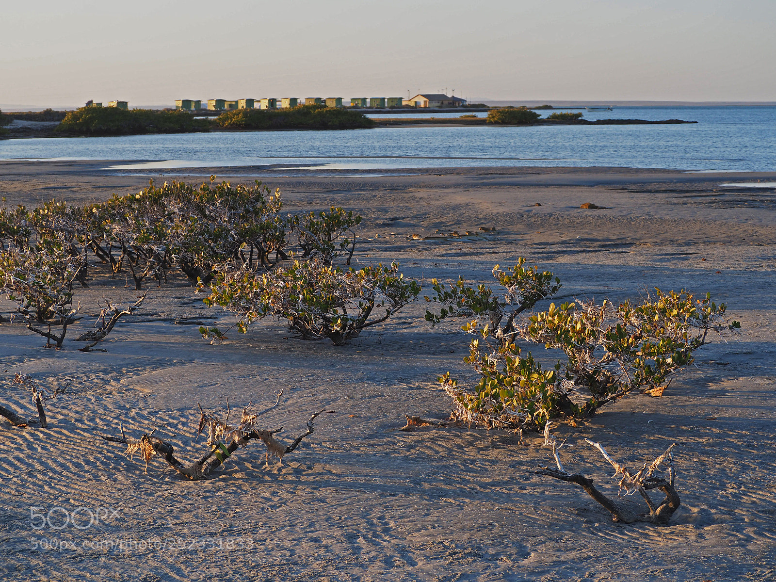 Olympus OM-D E-M5 II sample photo. Tranquility photography