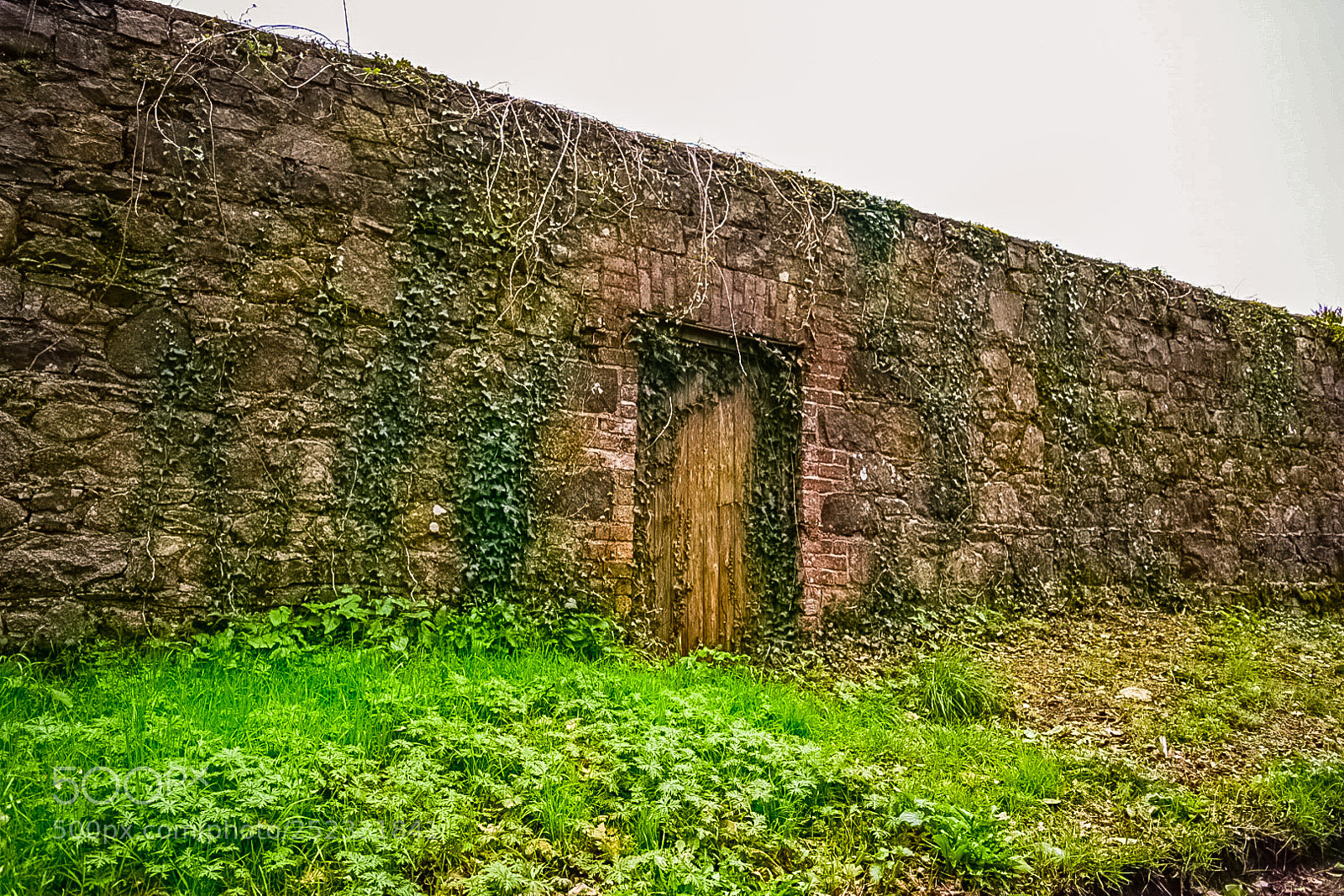 Nikon D5300 sample photo. Entrance to otherside photography