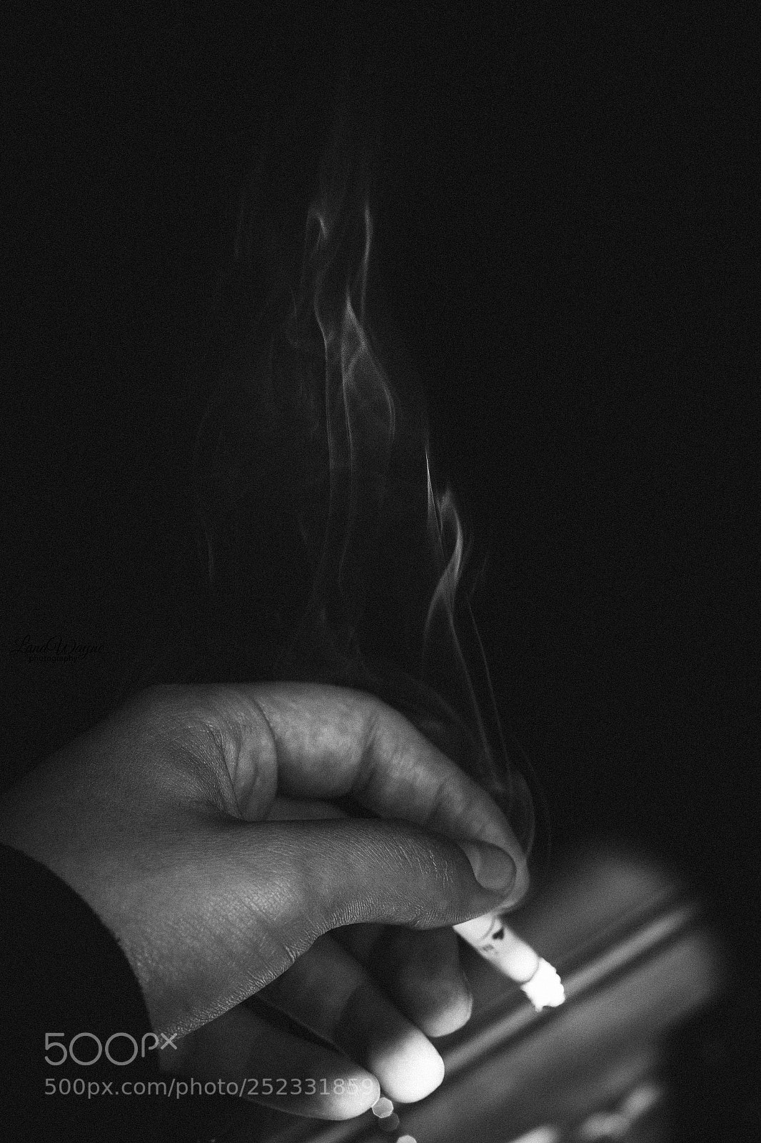Canon EOS 7D Mark II sample photo. Black and white photography