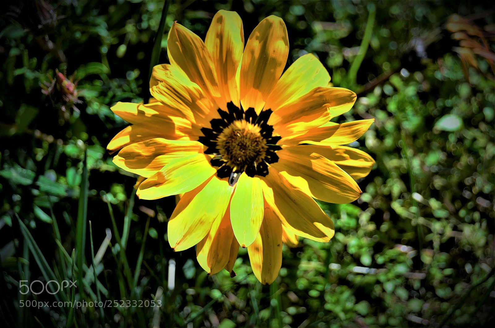 Nikon D7000 sample photo. Cnrylmz photography