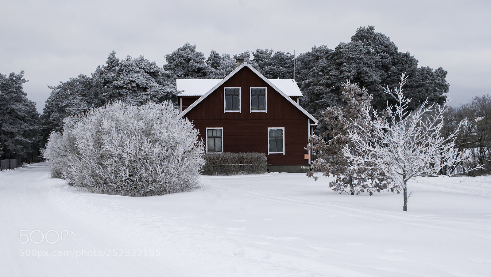 Nikon D80 sample photo. Red house. photography