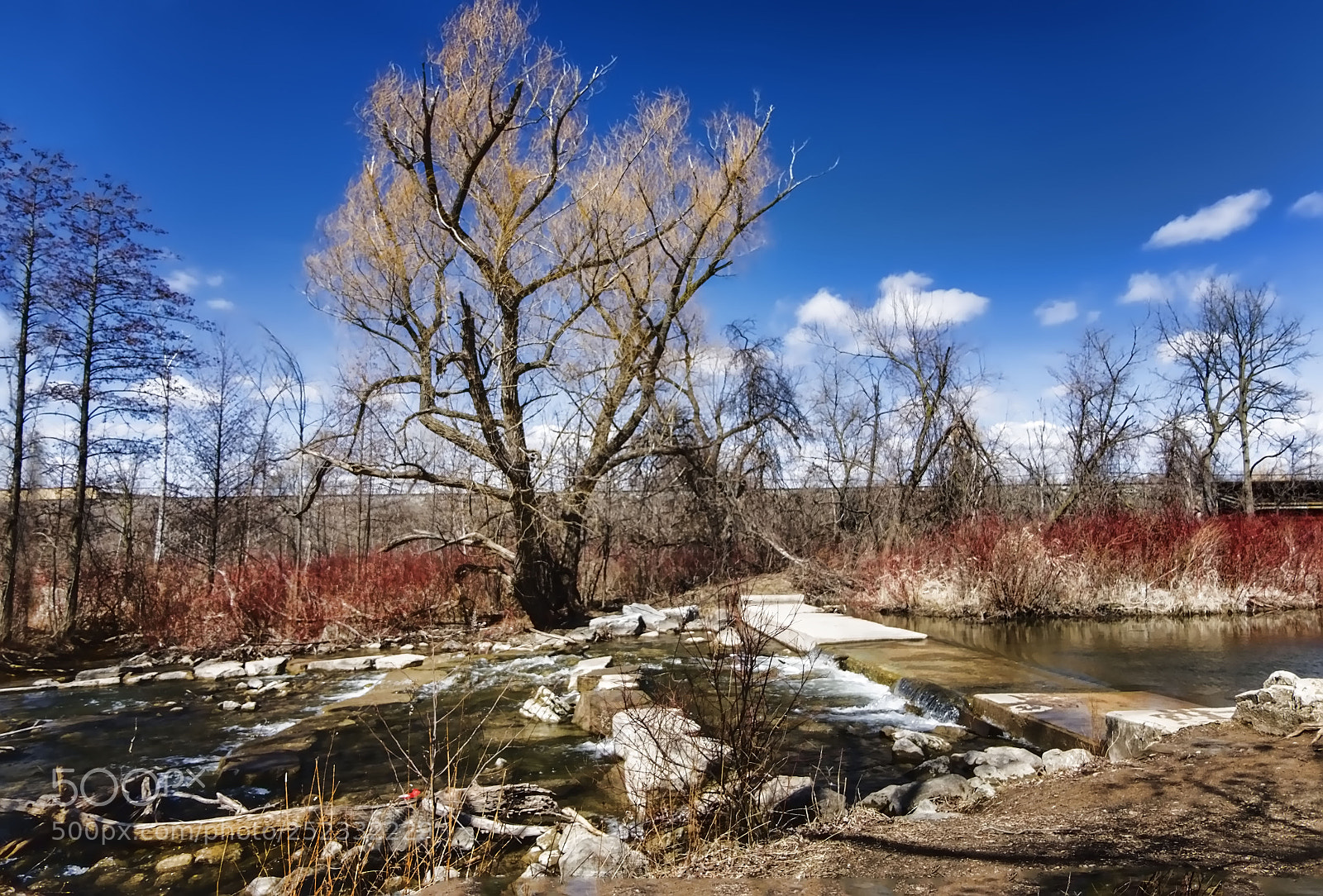 Fujifilm X-E2 sample photo. Mill pond park-milton photography