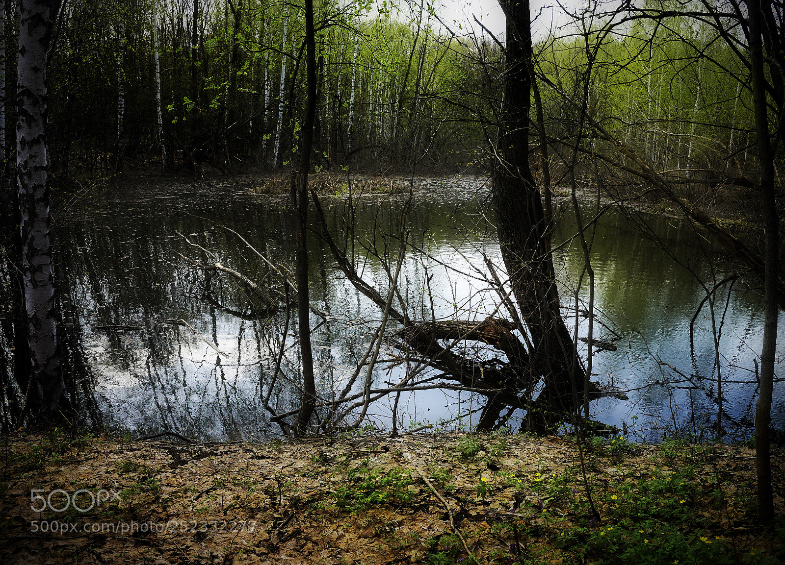 Sony a99 II sample photo. *** photography