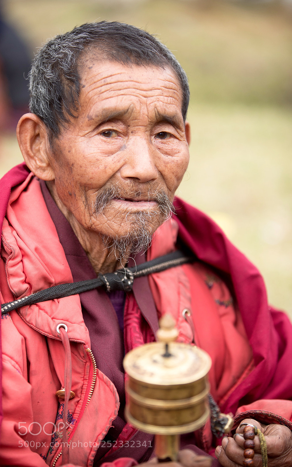 Canon EOS-1D X Mark II sample photo. Festival 4 photography