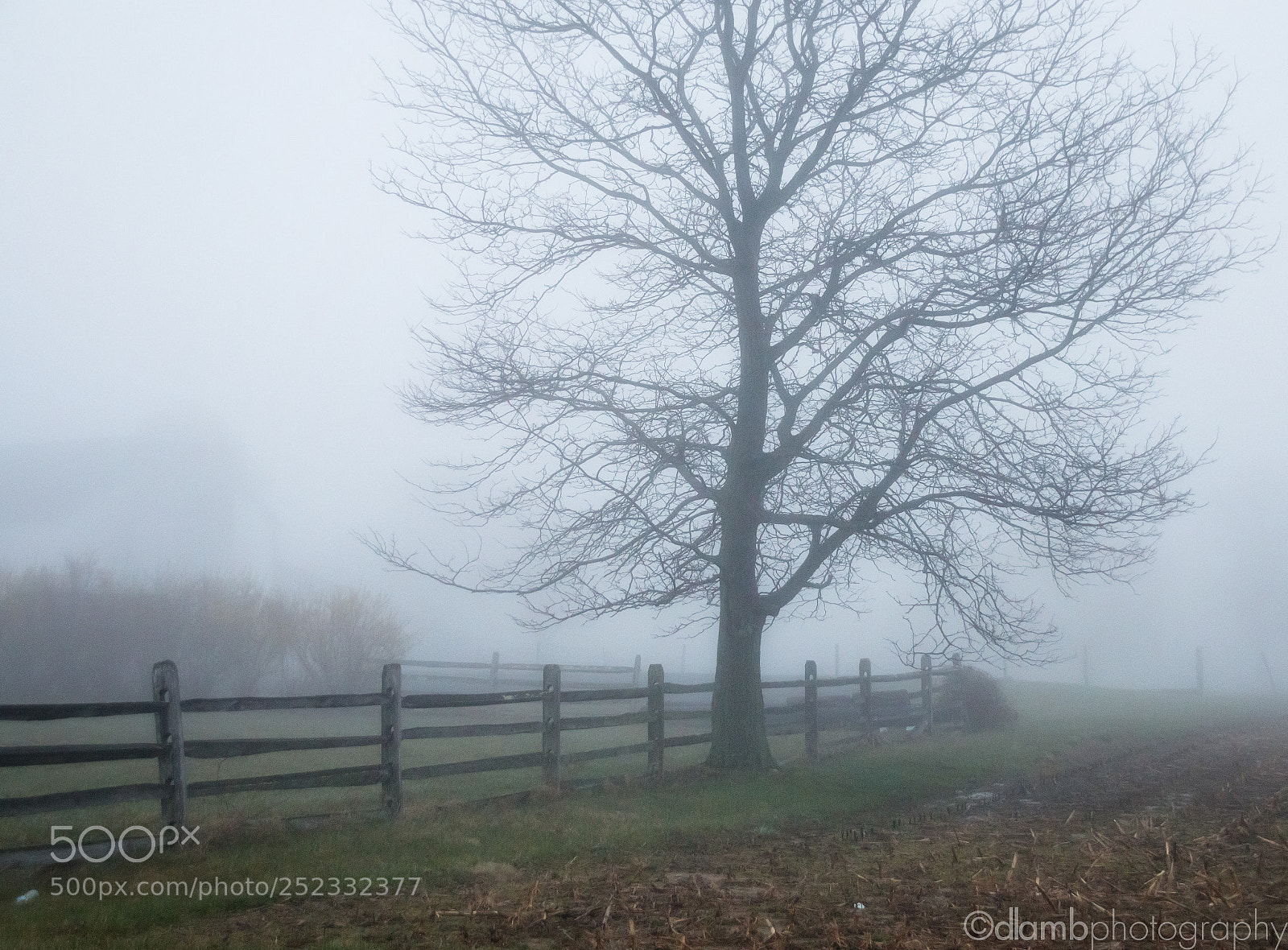 Canon EOS 70D sample photo. Misty morning photography