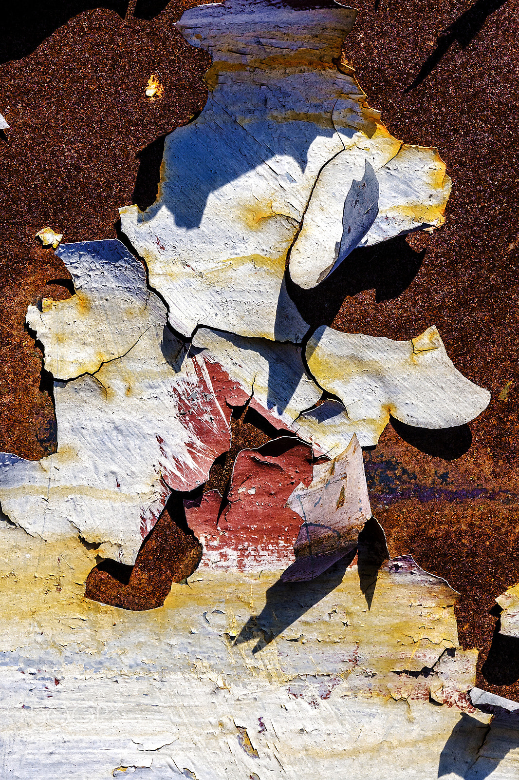 Canon EOS 40D sample photo. Natural abstract photography