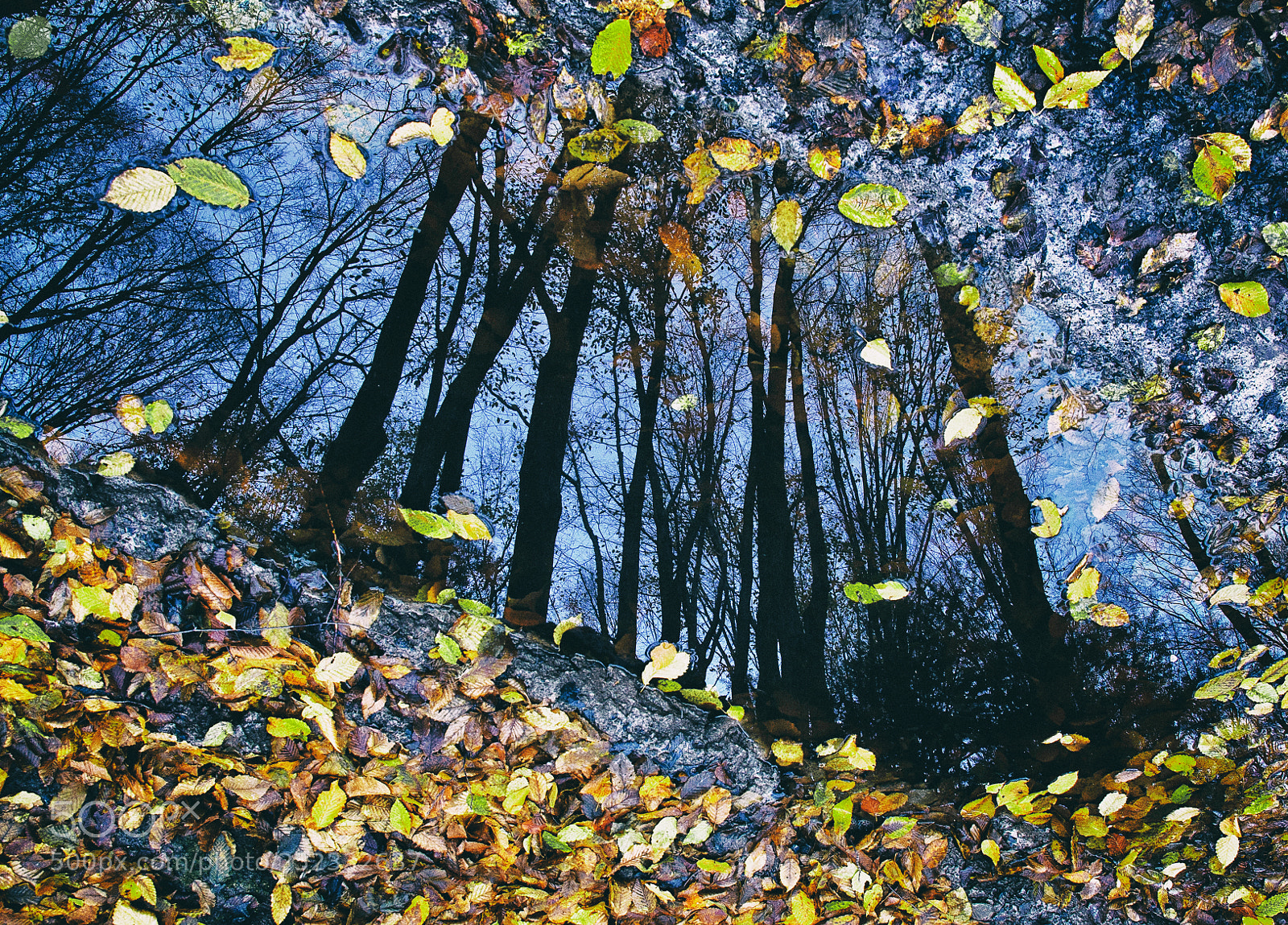 Canon EOS 40D sample photo. An autumn eye (ver. 1) photography