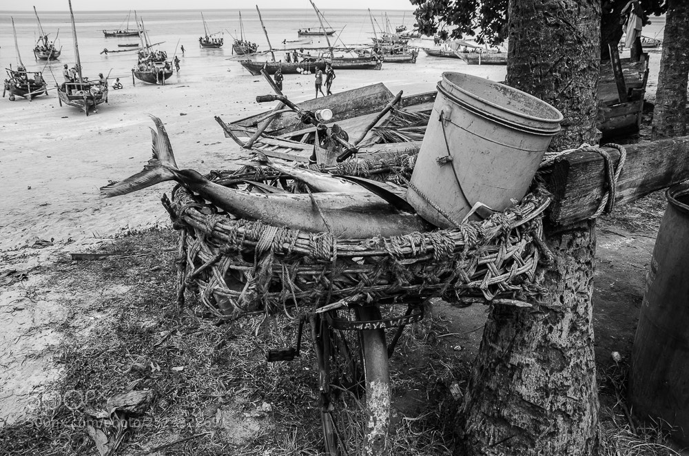 Nikon D7000 sample photo. Untitled photography