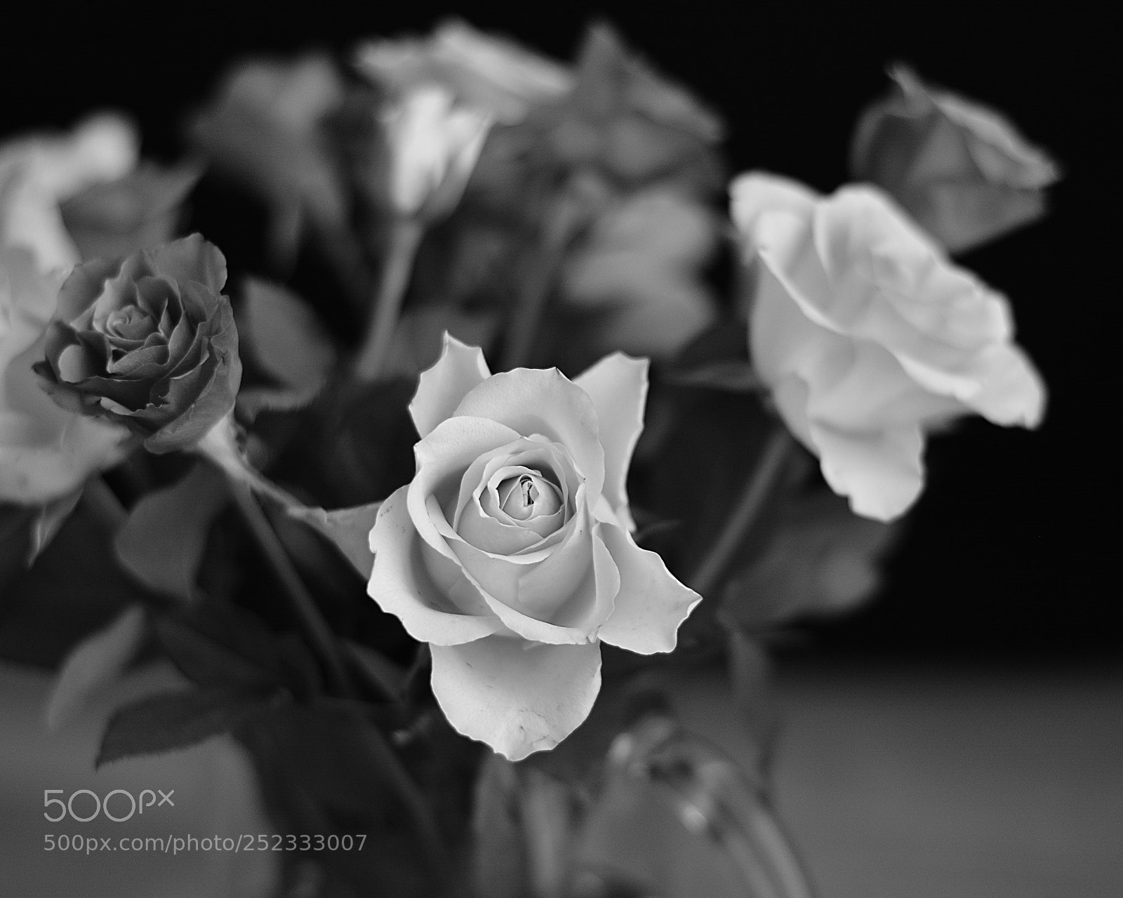 Nikon D5200 sample photo. B&w bouquet photography