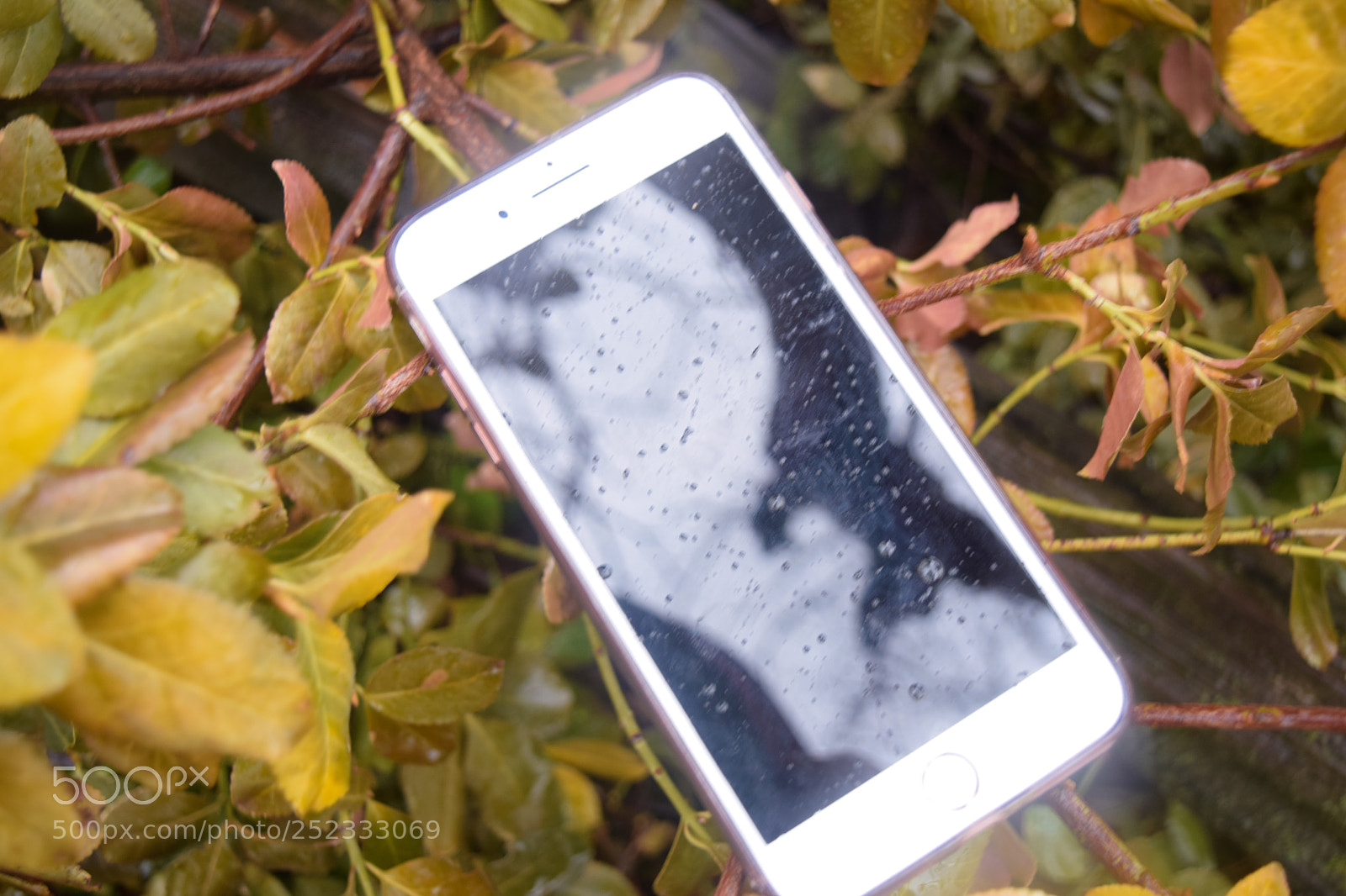 Nikon D3300 sample photo. Objects and shadows photography