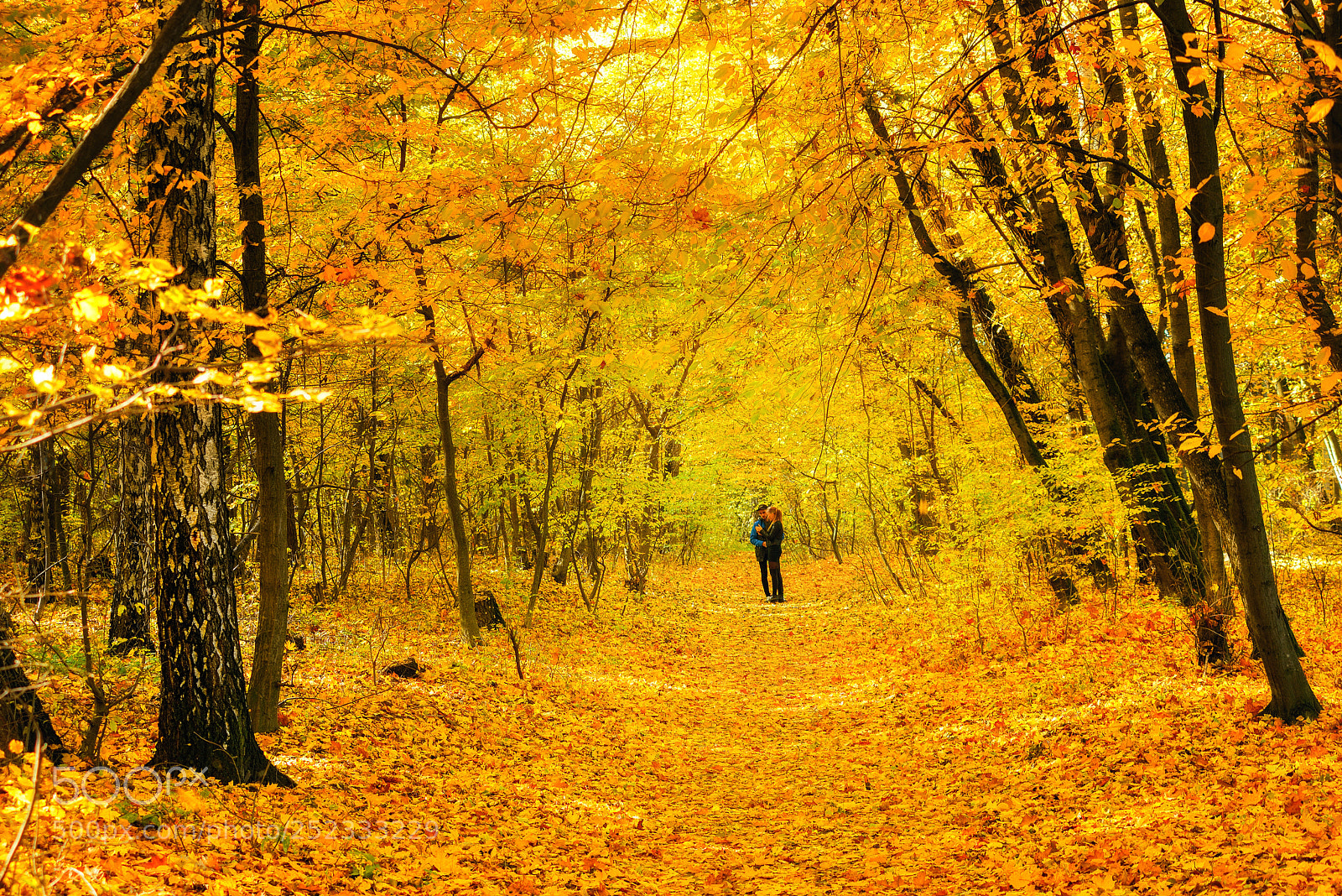 Nikon D800E sample photo. Tryst photography