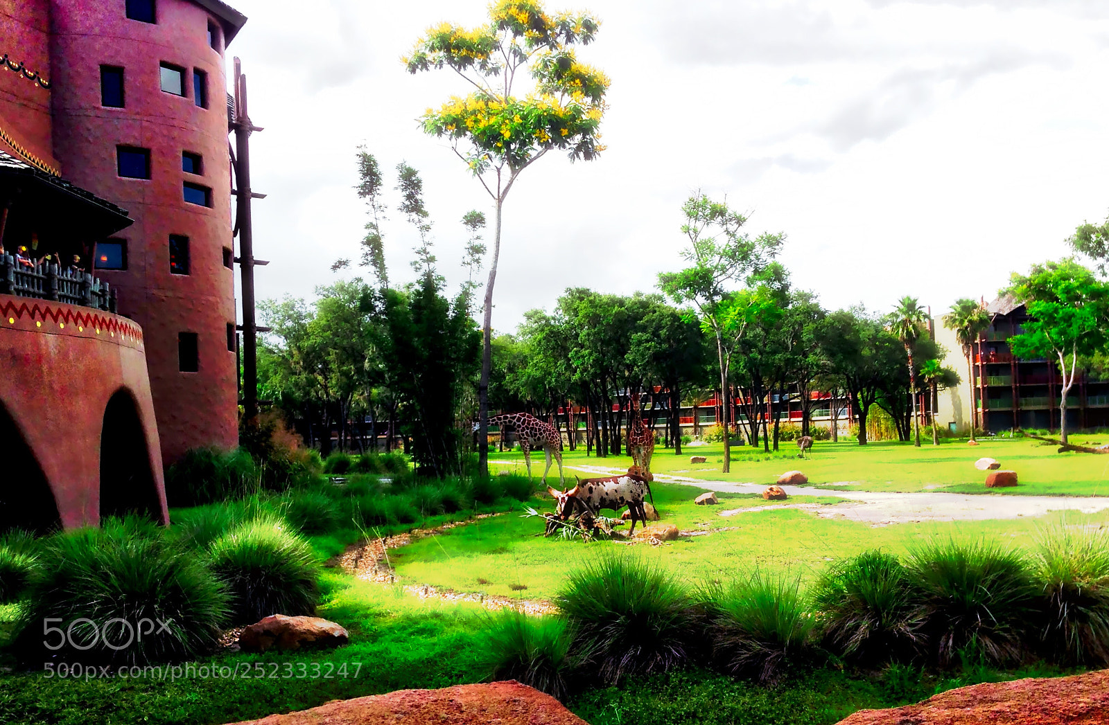 Apple iPhone 5 sample photo. Animal kingdom lodge photography