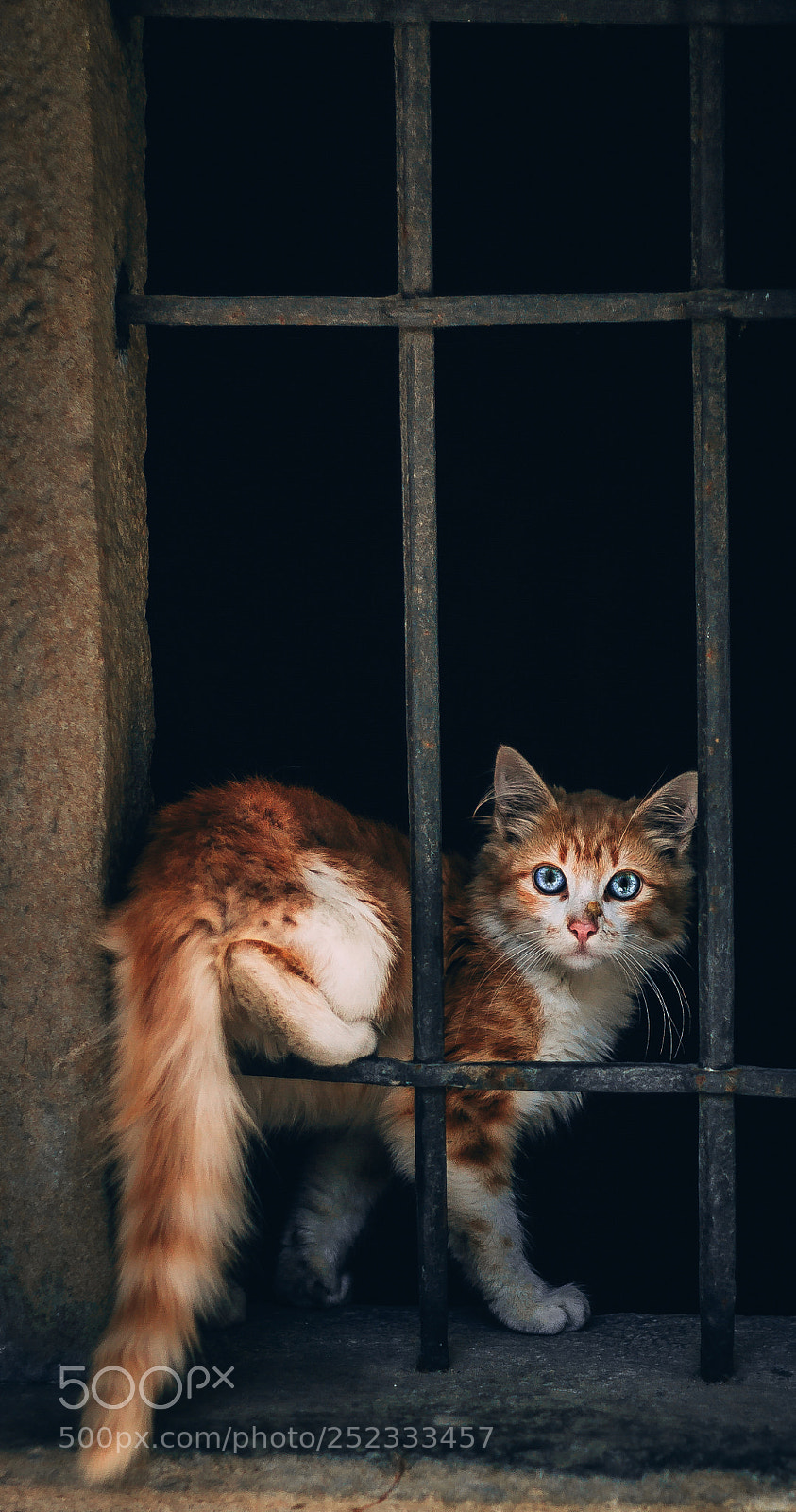 Canon EOS 7D sample photo. I can't get over photography