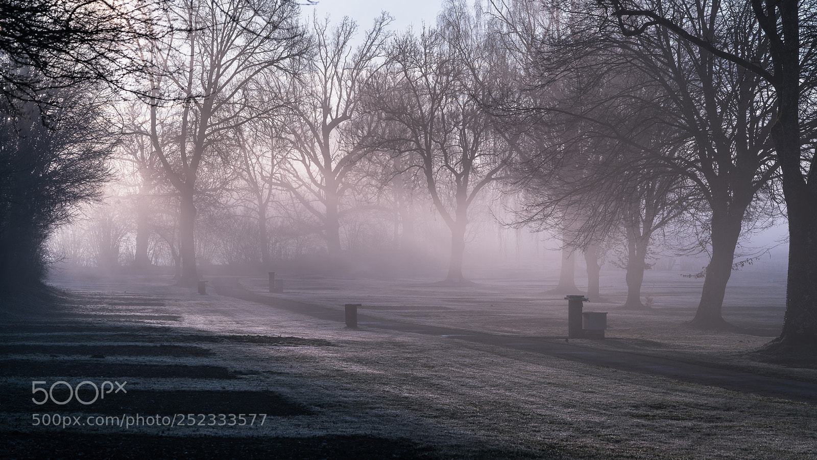 Sony a7R II sample photo. Foggy sunrise photography
