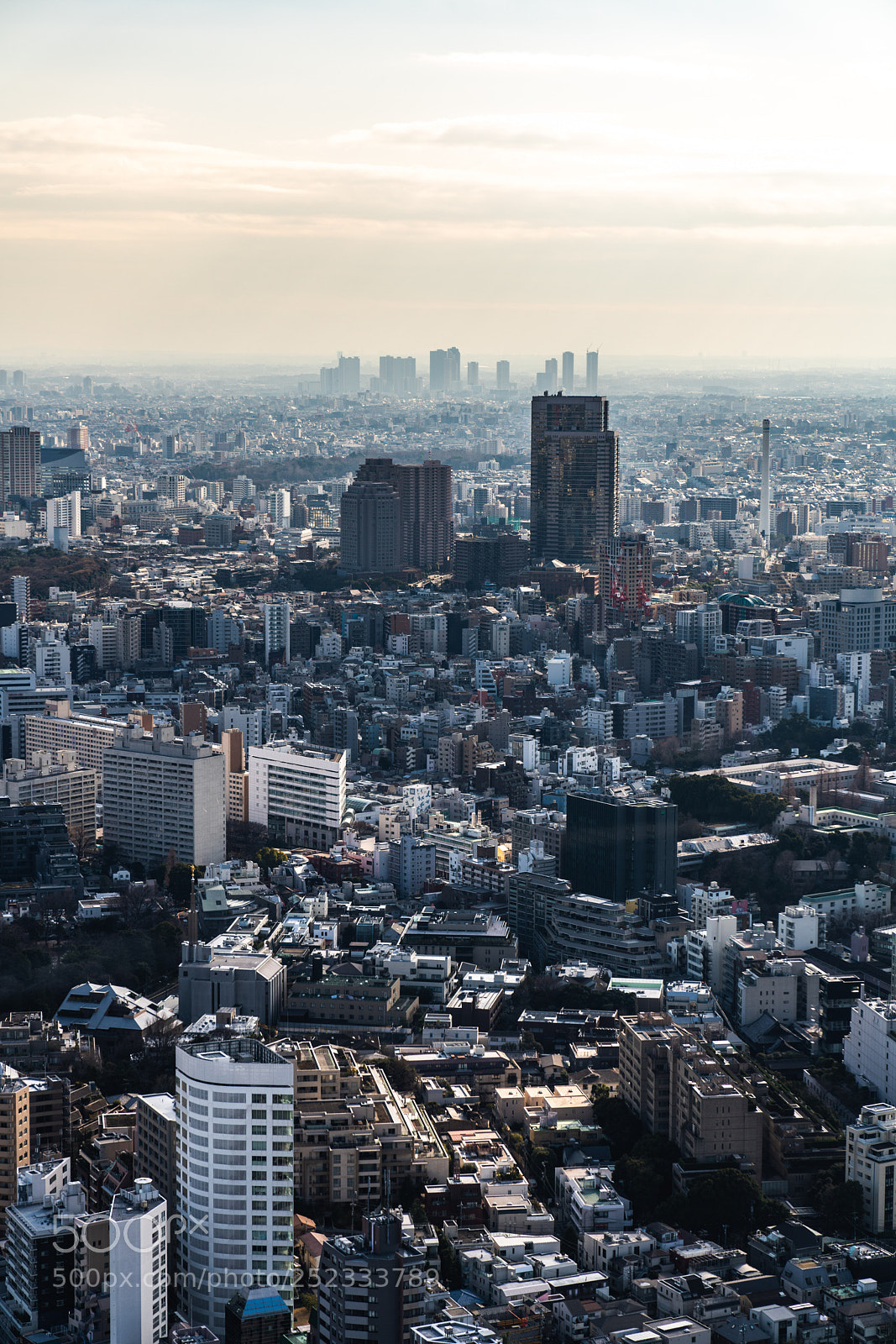 Sony a7R III sample photo. Yokohama in the distance photography