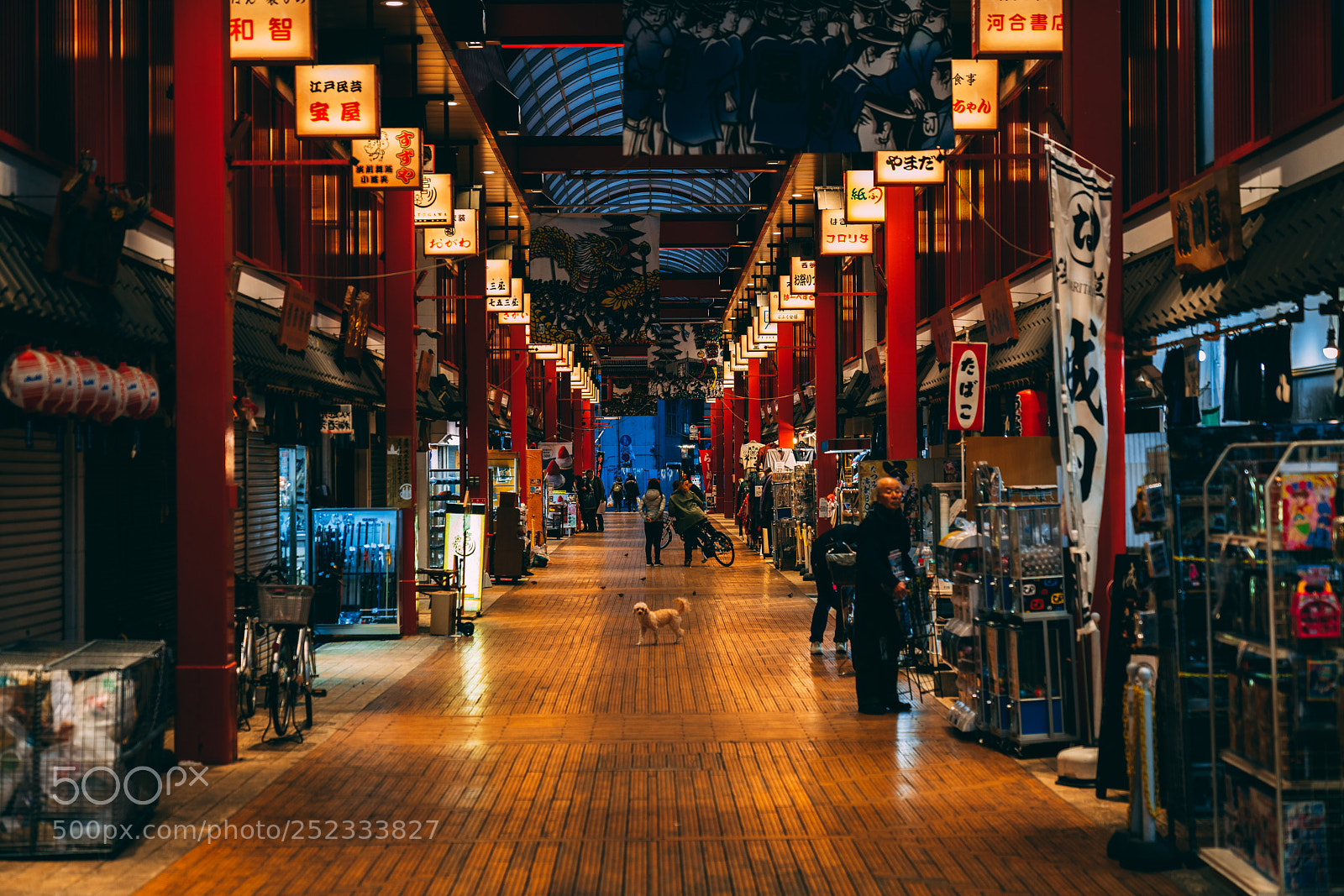 Sony a7R III sample photo. Market pup photography