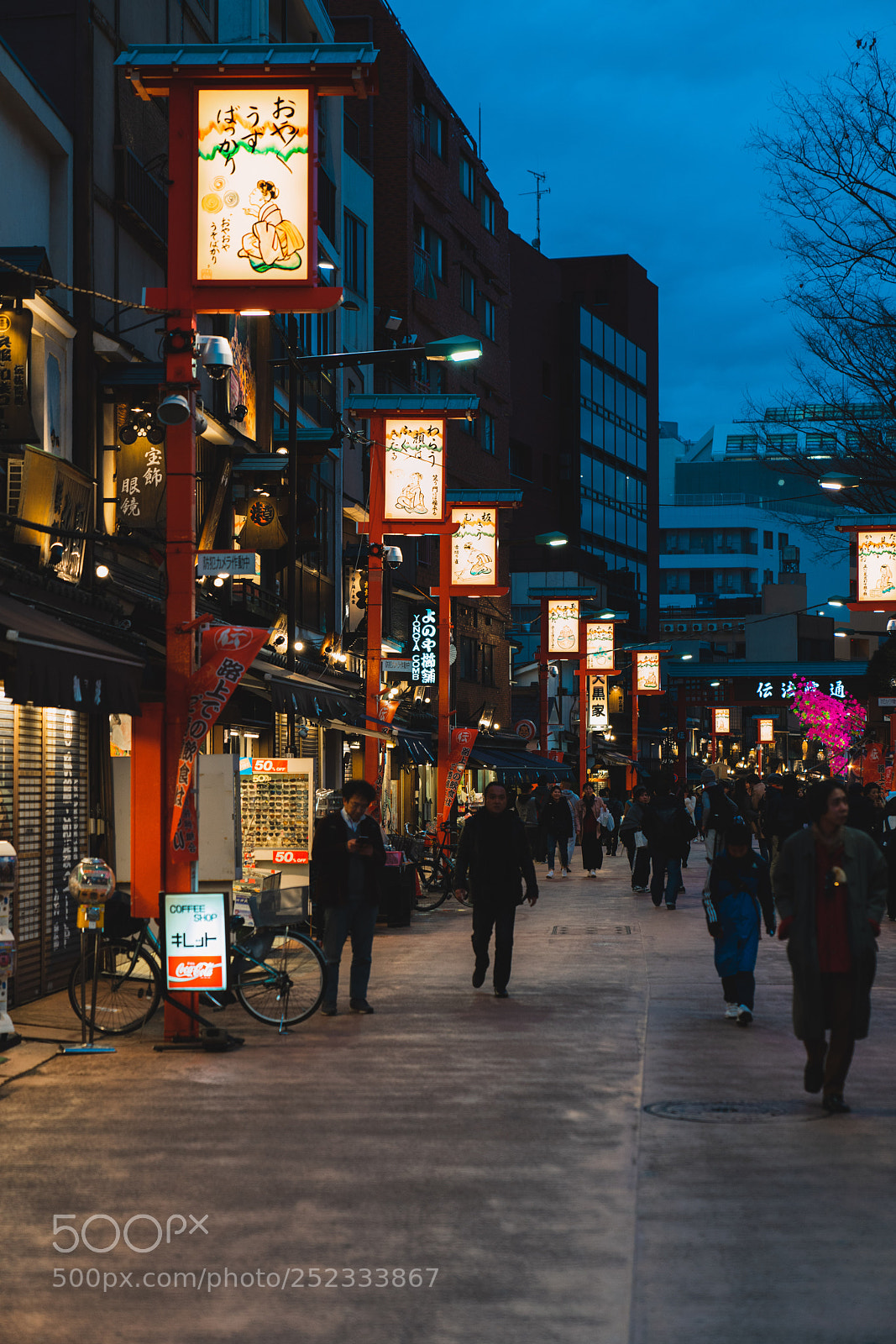 Sony a7R III sample photo. Asakusa streetlife 1 photography
