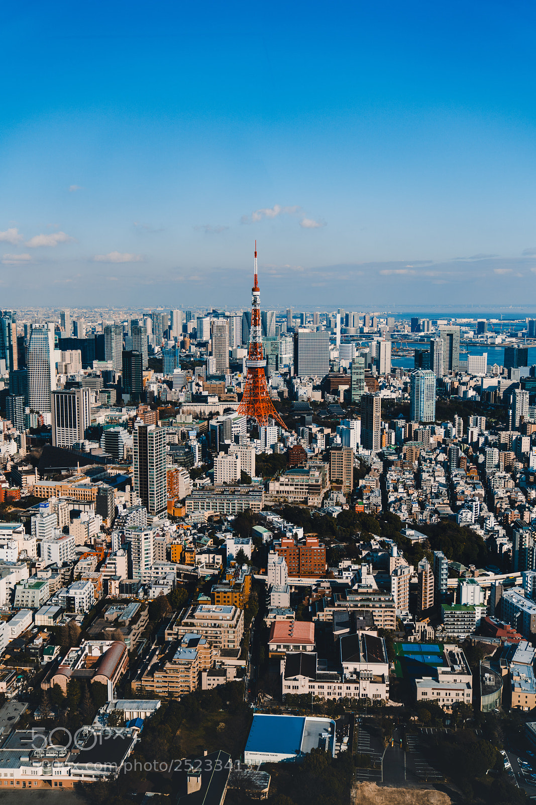 Sony a7R III sample photo. Tokyo tower photography