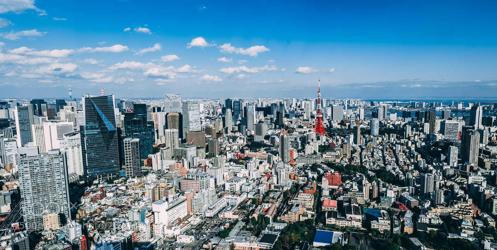 Sony a7R III sample photo. Tokto tower panorama photography