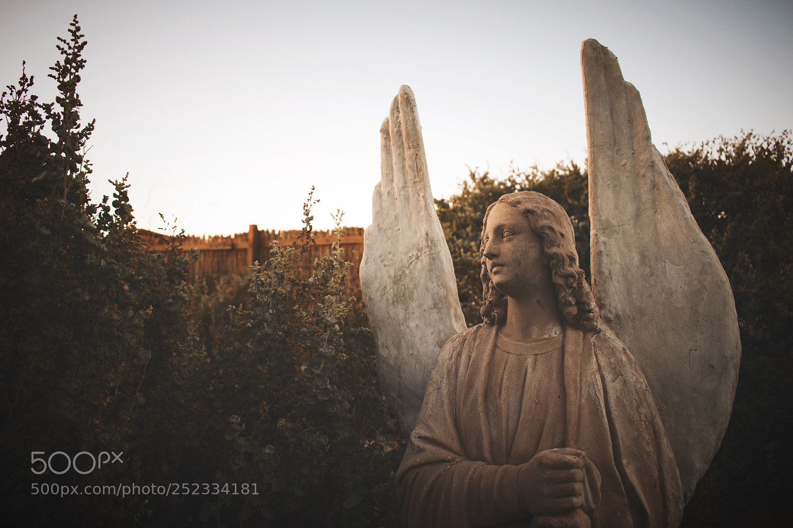 Nikon D5300 sample photo. Statue photography