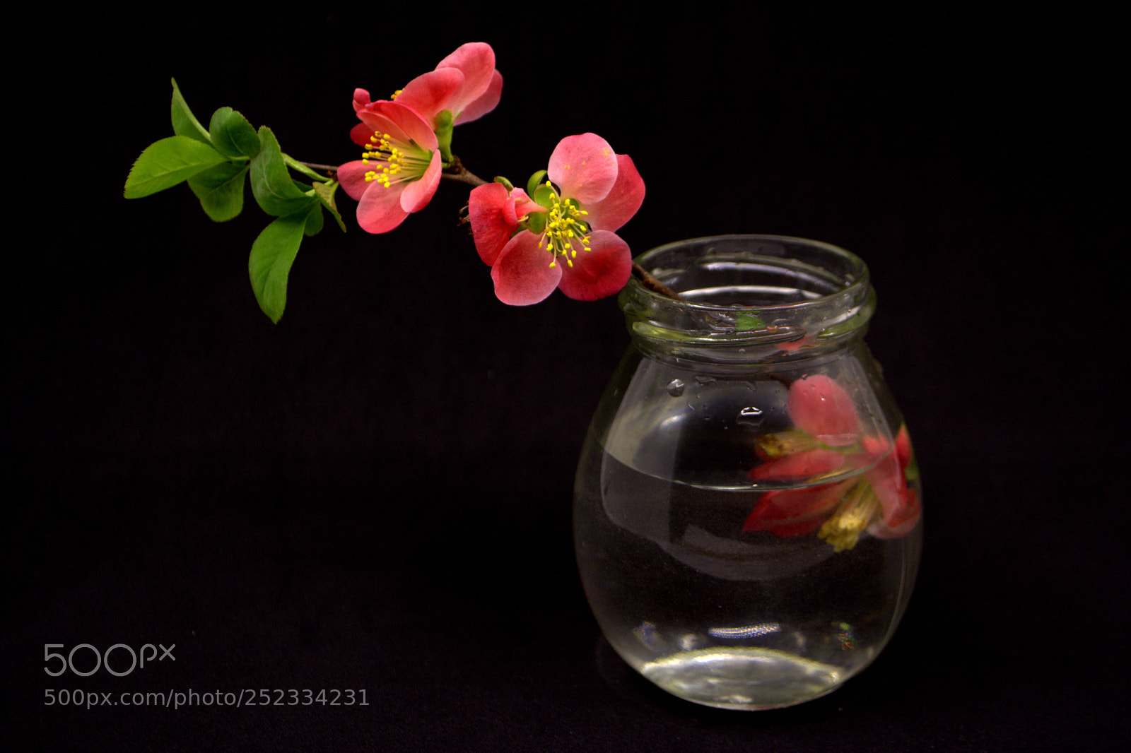 Nikon D7100 sample photo. Red flowers in vase photography