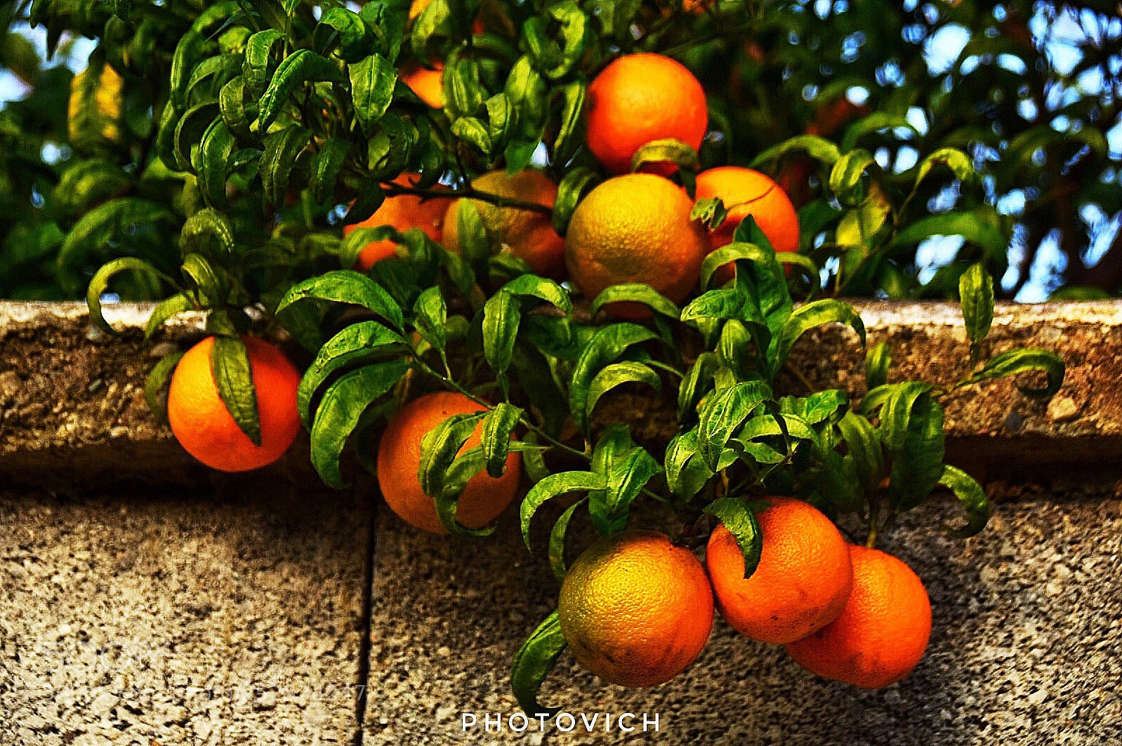 Nikon D5300 sample photo. Untitled photography