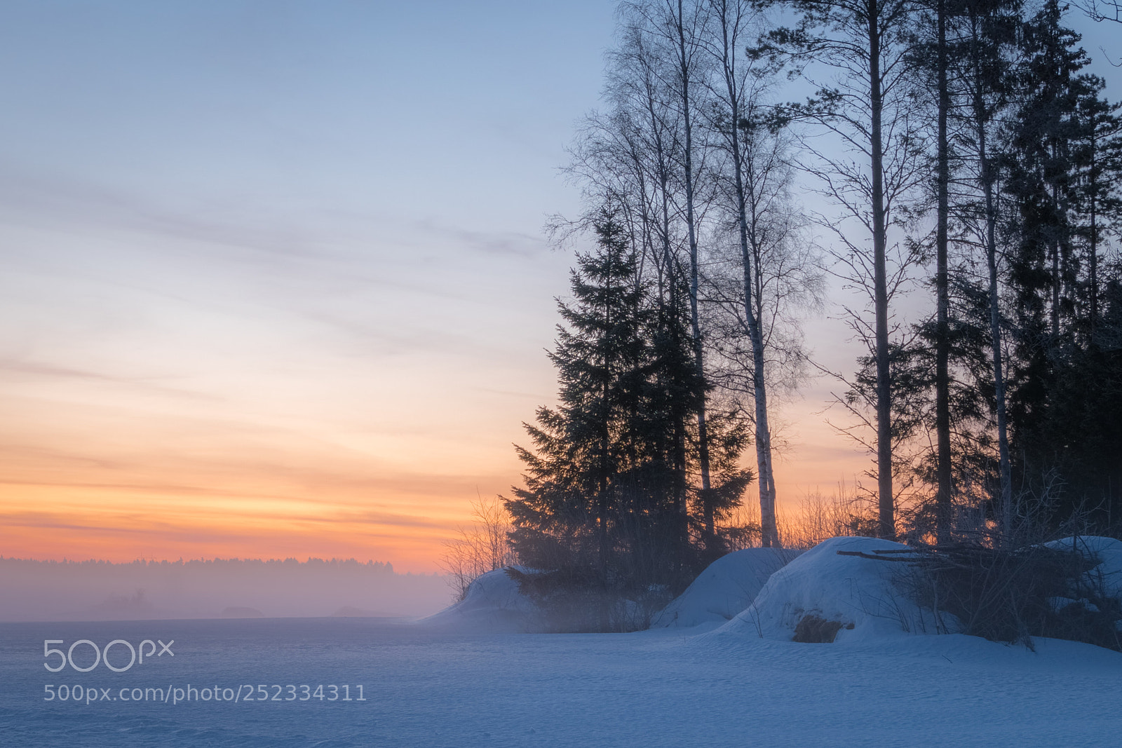 Nikon D5500 sample photo. Morning colors photography