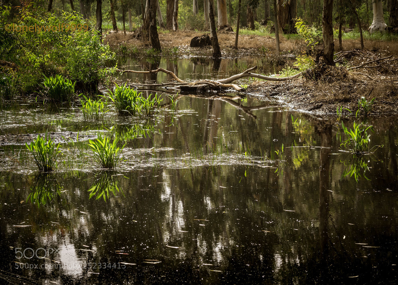 Sony a6000 sample photo. Quiet place photography