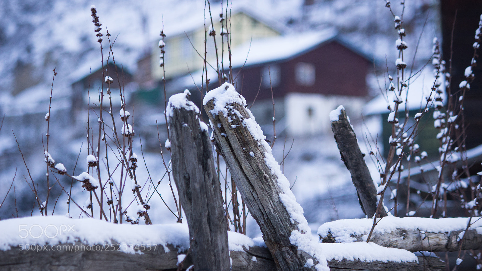 Canon EOS 600D (Rebel EOS T3i / EOS Kiss X5) sample photo. Thangu valley photography