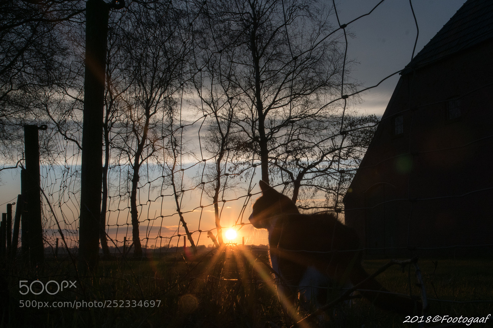 Sony ILCA-77M2 sample photo. Sun photography