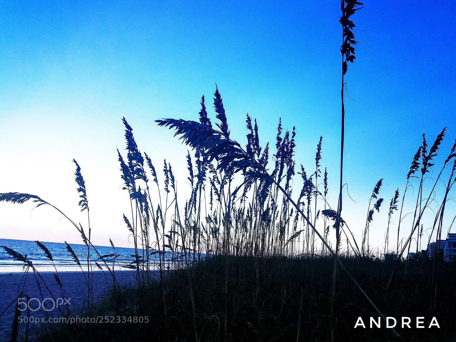 Samsung Galaxy S7 sample photo. Blue photography