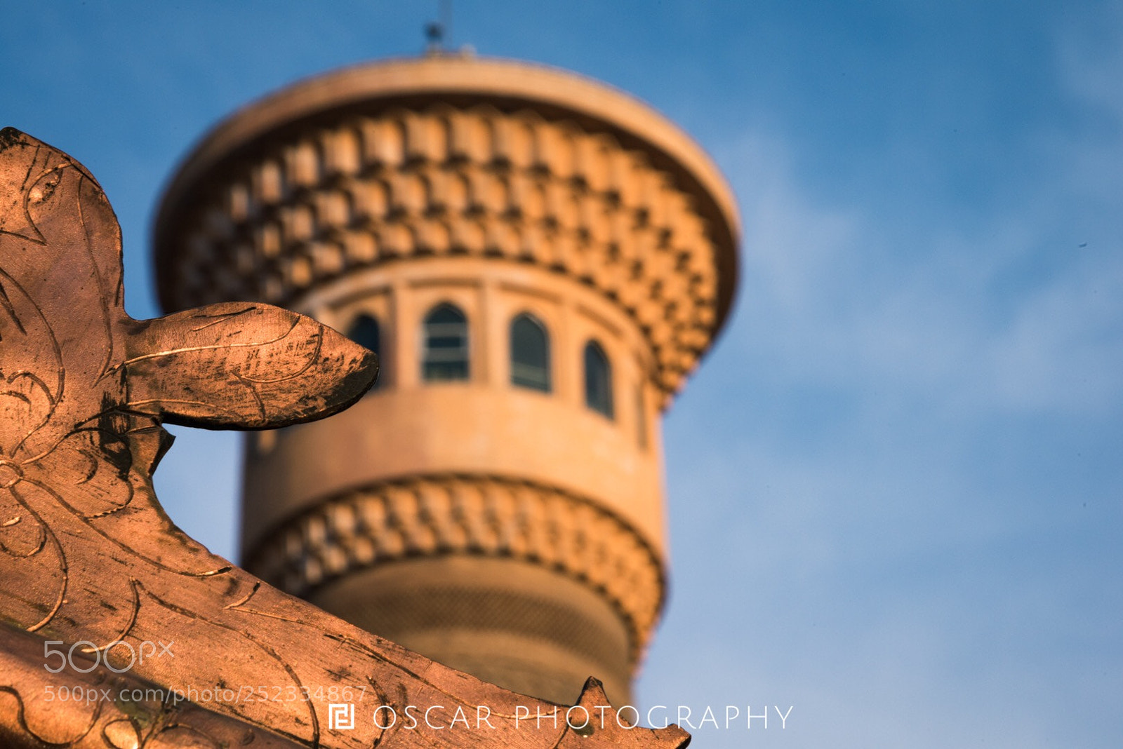 Nikon D810 sample photo. Untitled photography