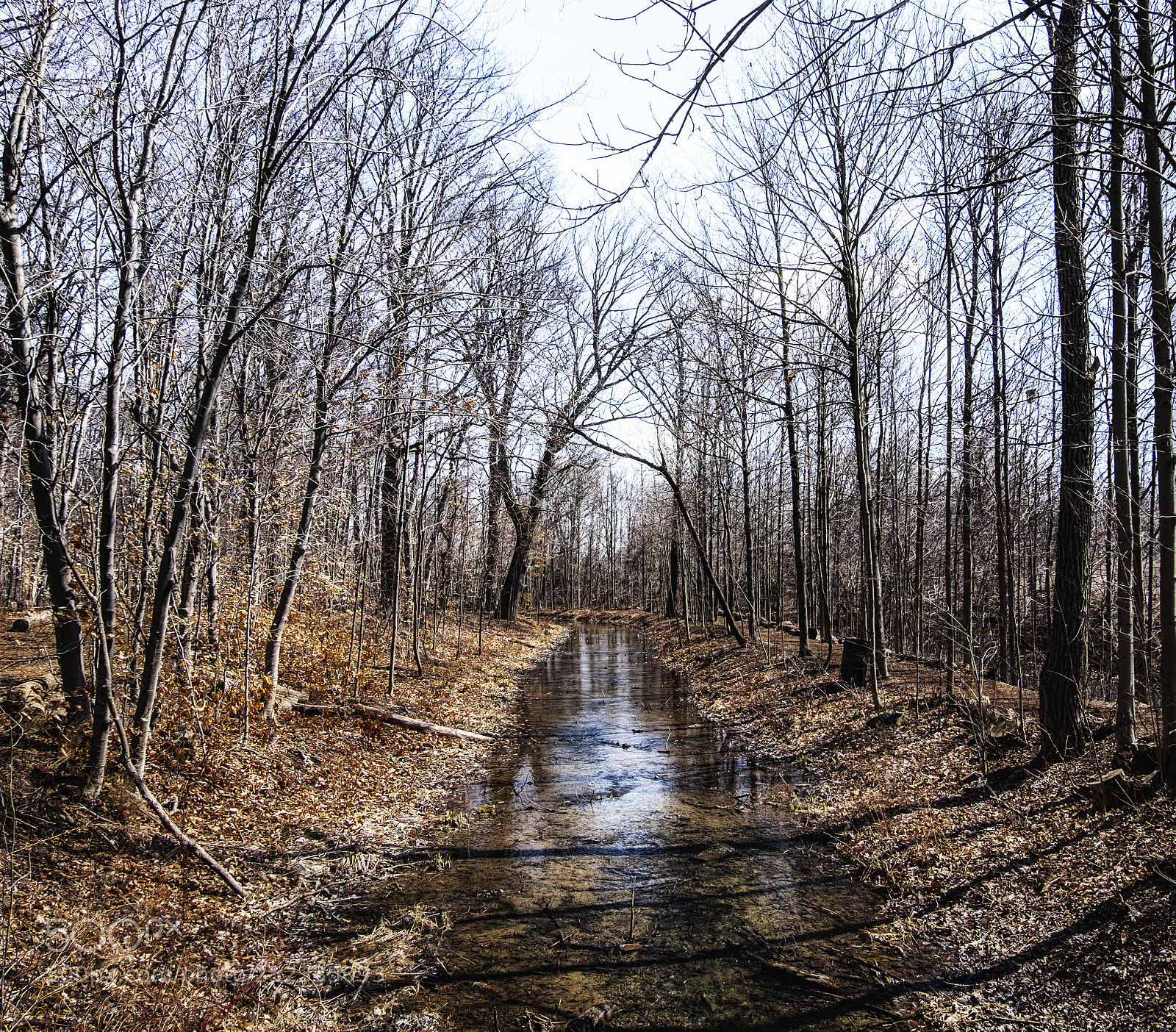 Fujifilm X-E2 sample photo. Mill pond park-milton photography