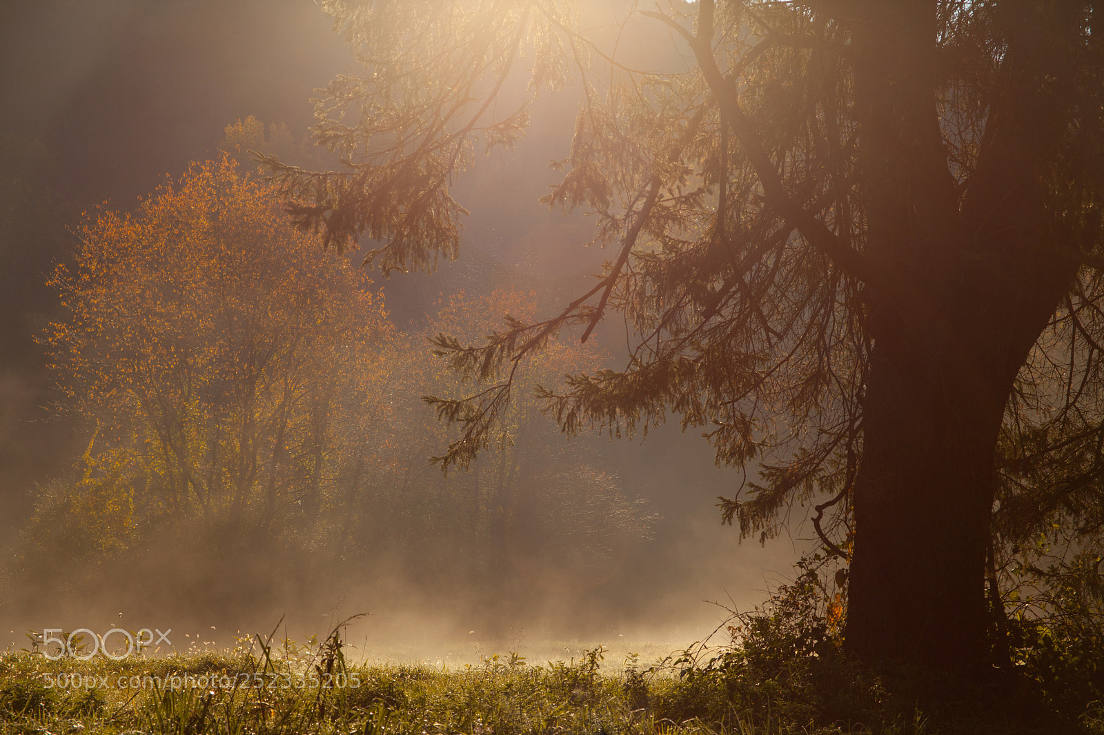 Canon EOS 5D Mark II sample photo. Peaceful moments photography