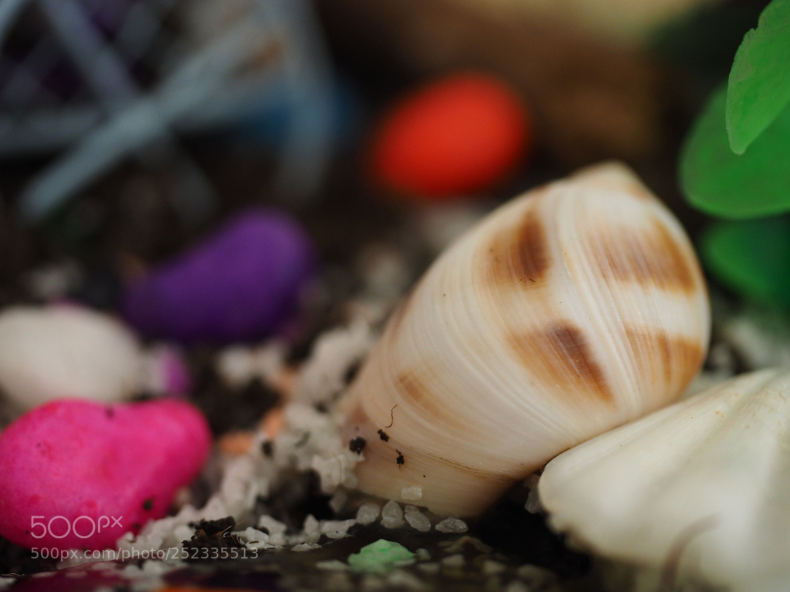 Olympus OM-D E-M1 sample photo. Proje... photography